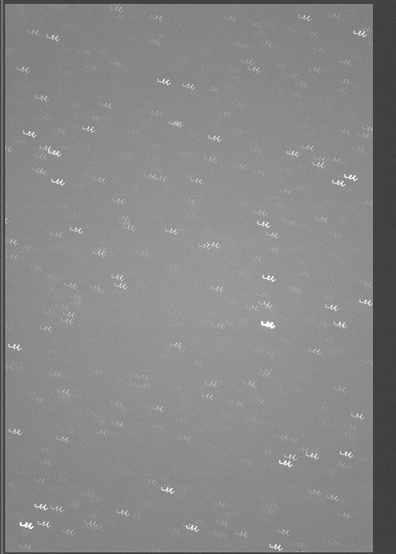 secon-1-1232s-near jupiter.jpg