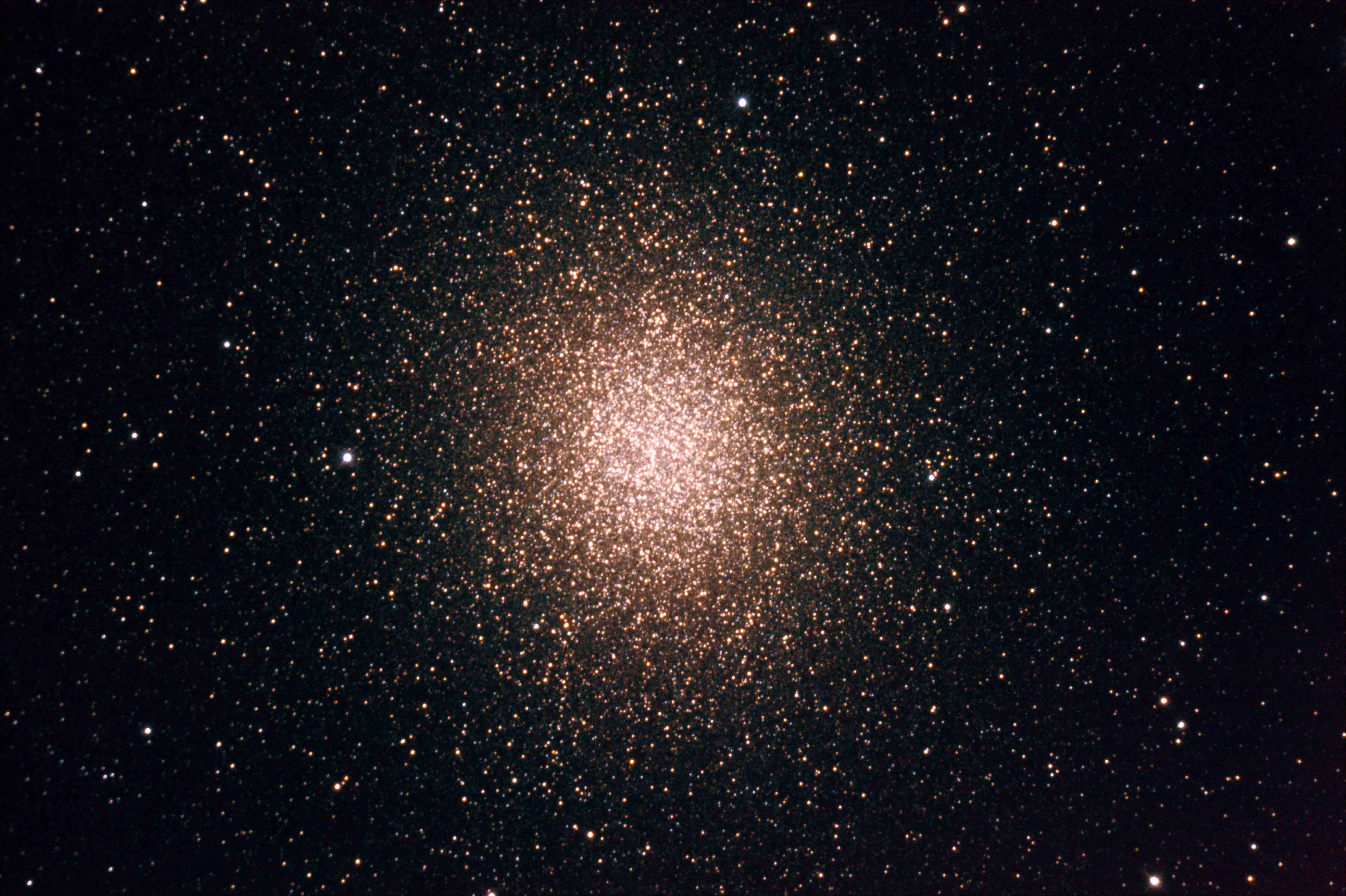 c80-1.jpg