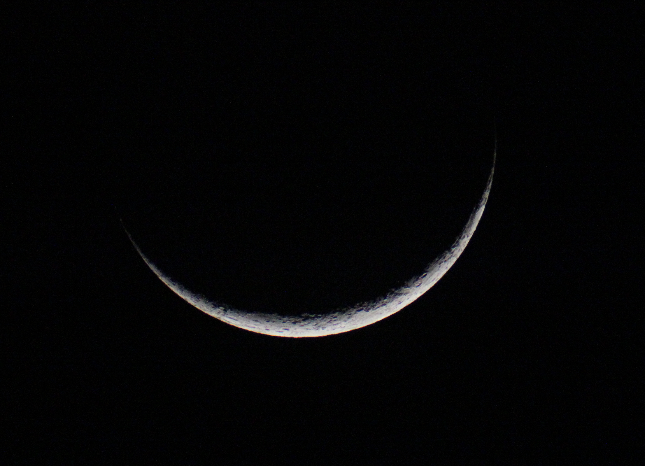 IMG_6637.JPG