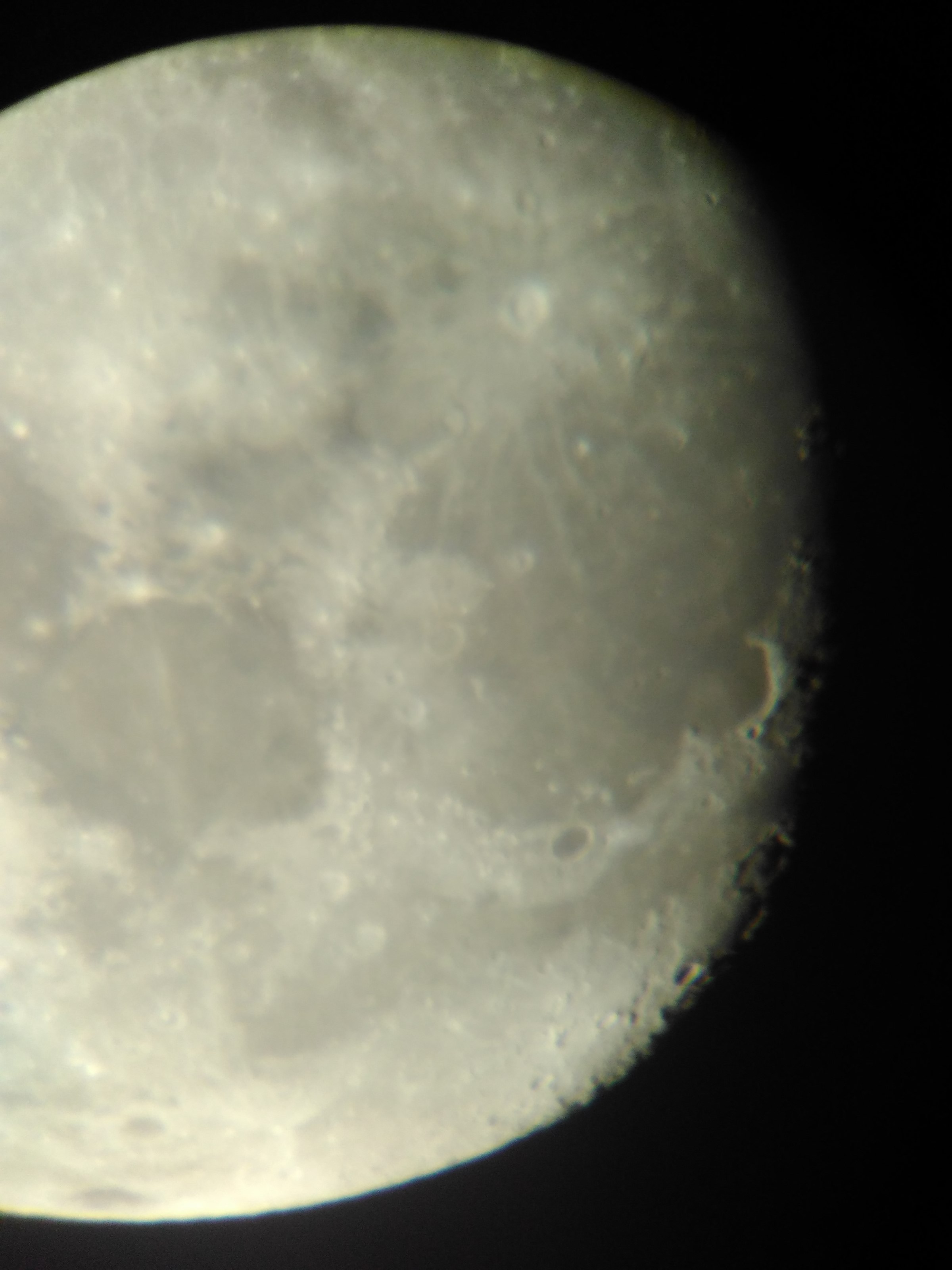 IMG_20150331_195039.jpg