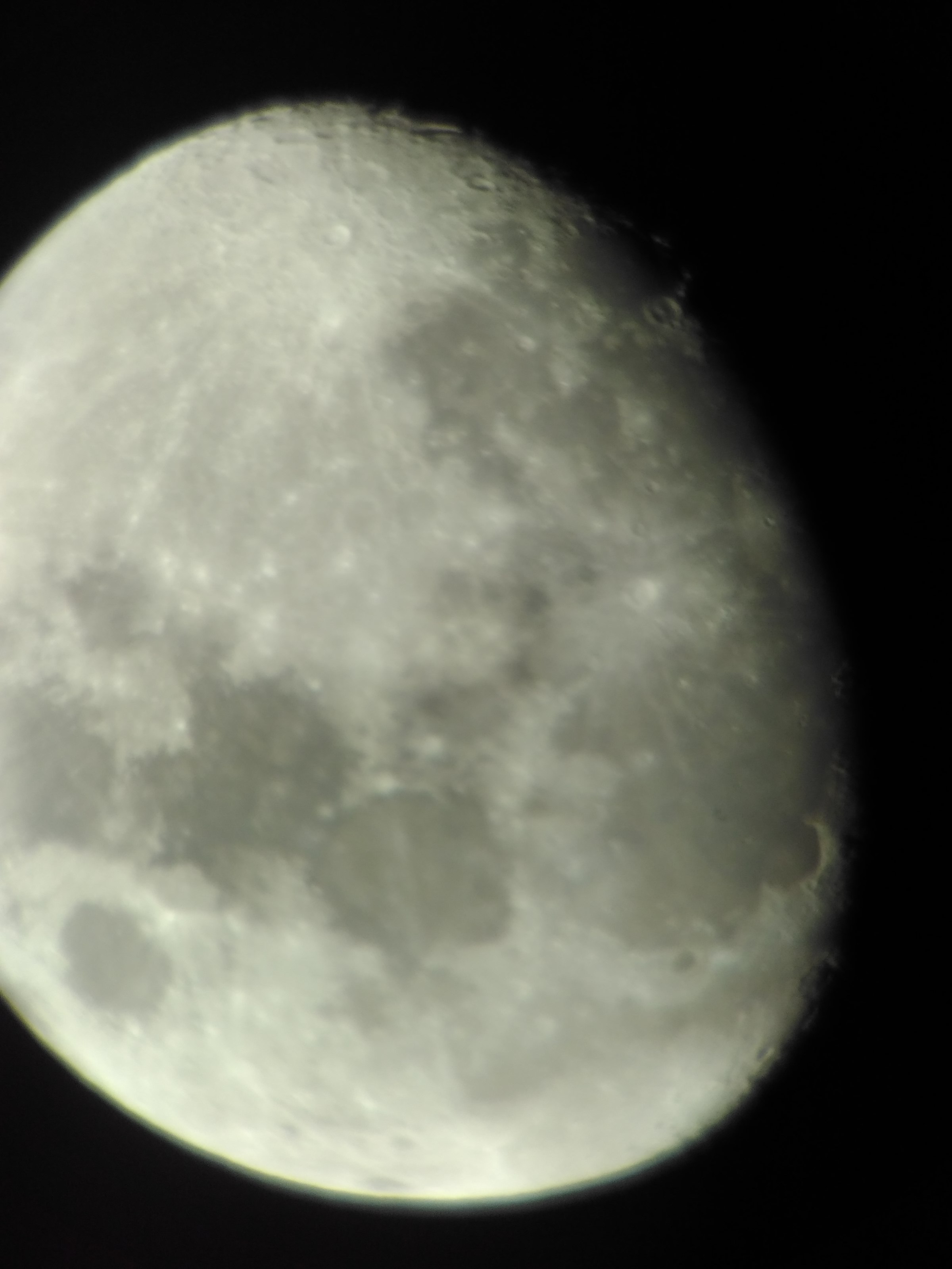 IMG_20150331_195151.jpg