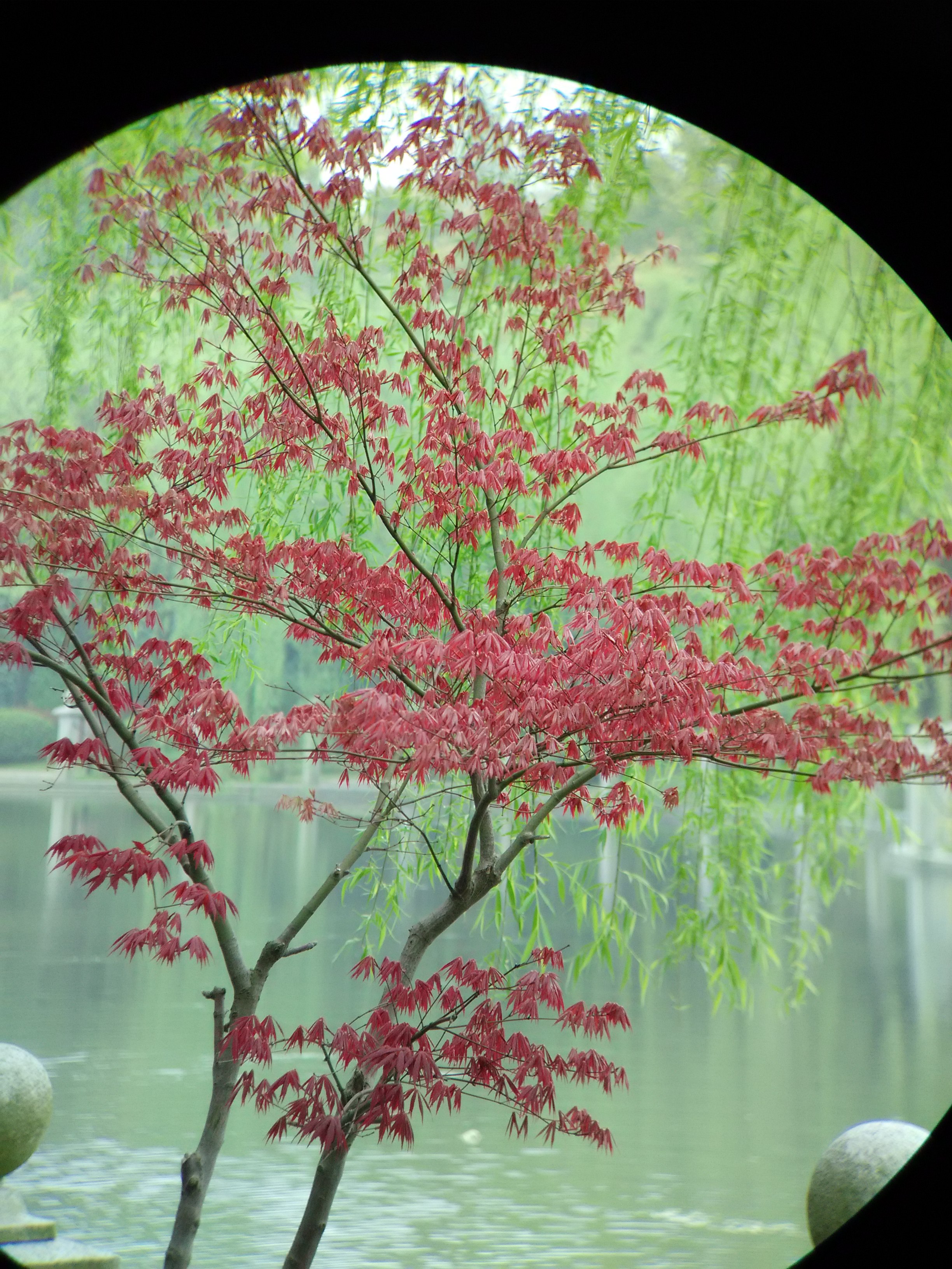 IMG_20150404_145946.jpg