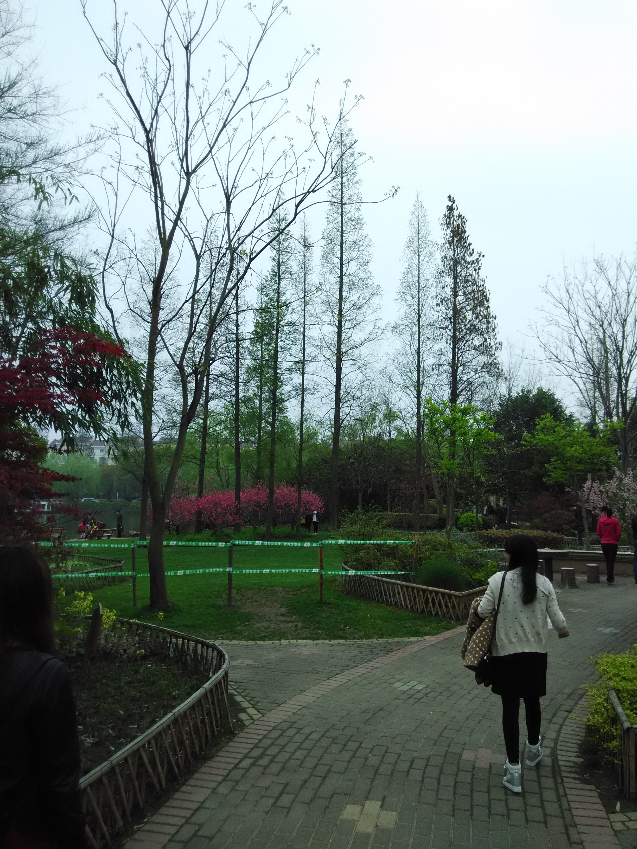 IMG_20150404_150946.jpg