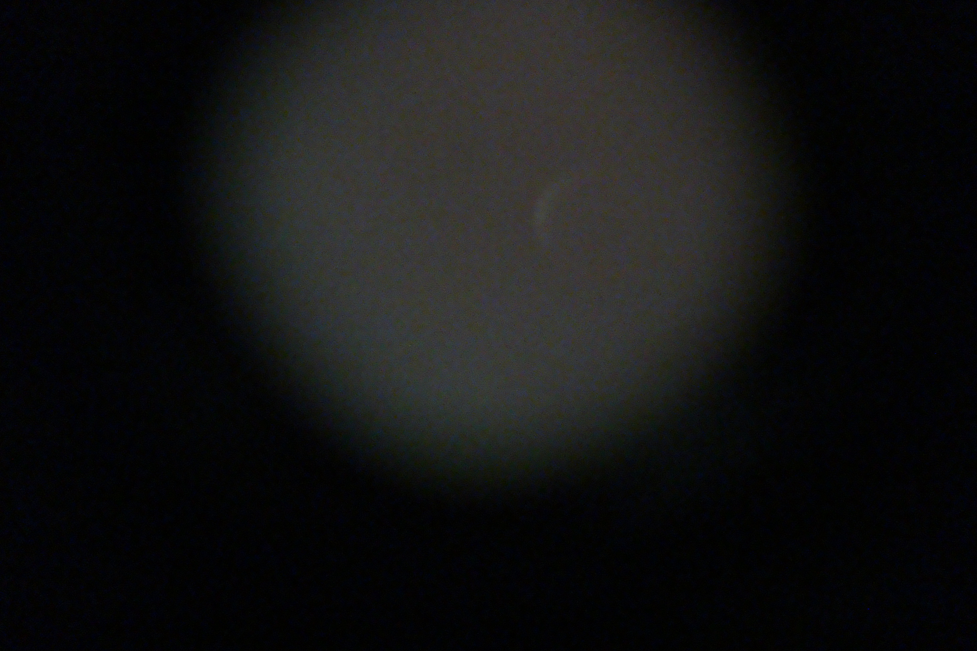 DSC01948.JPG