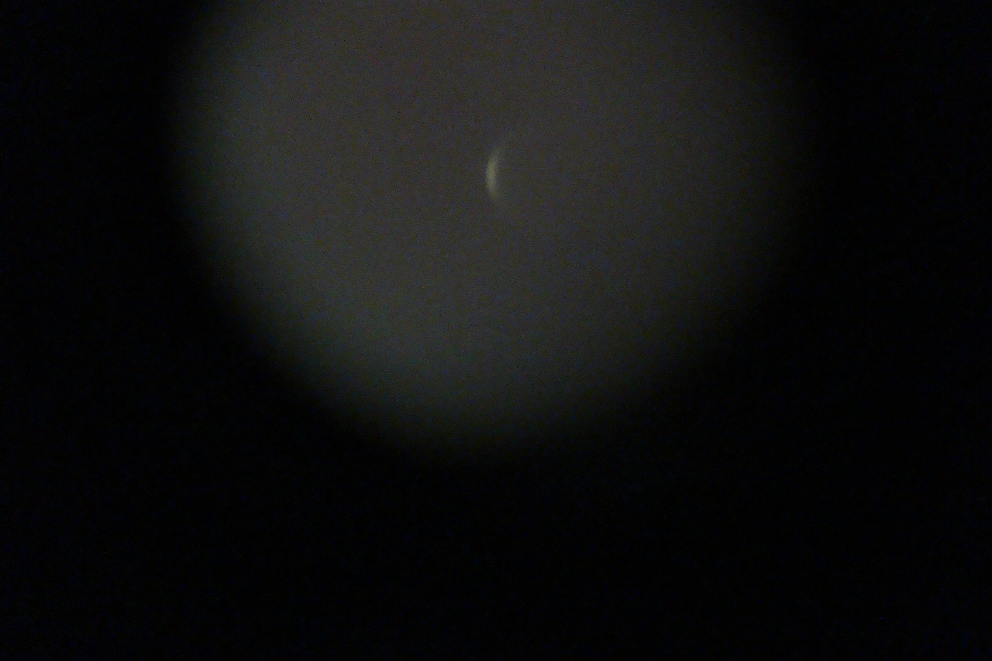 DSC01960.JPG