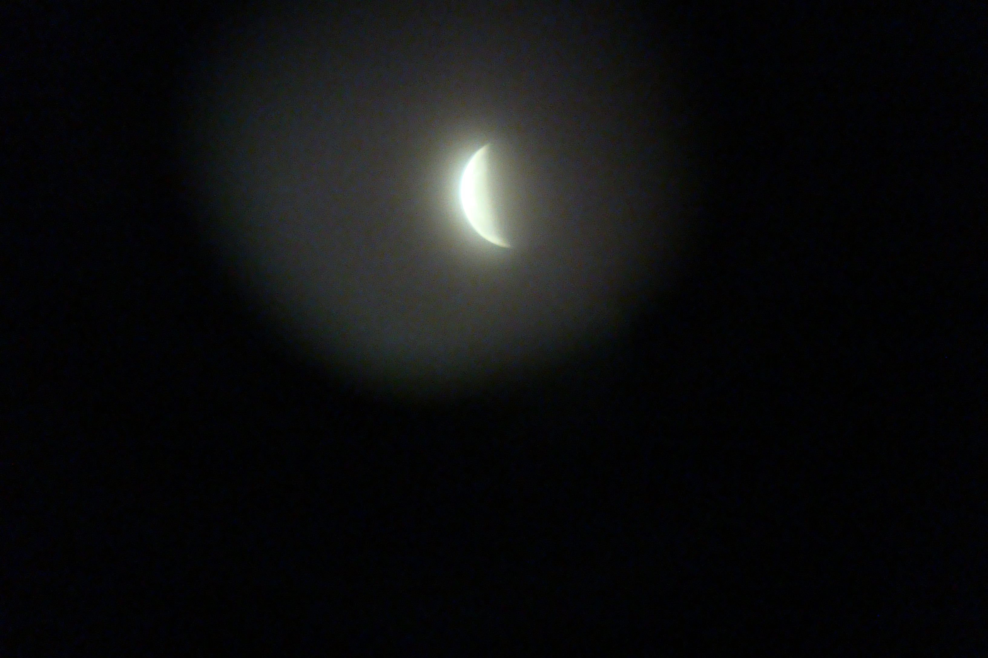 DSC01986.JPG