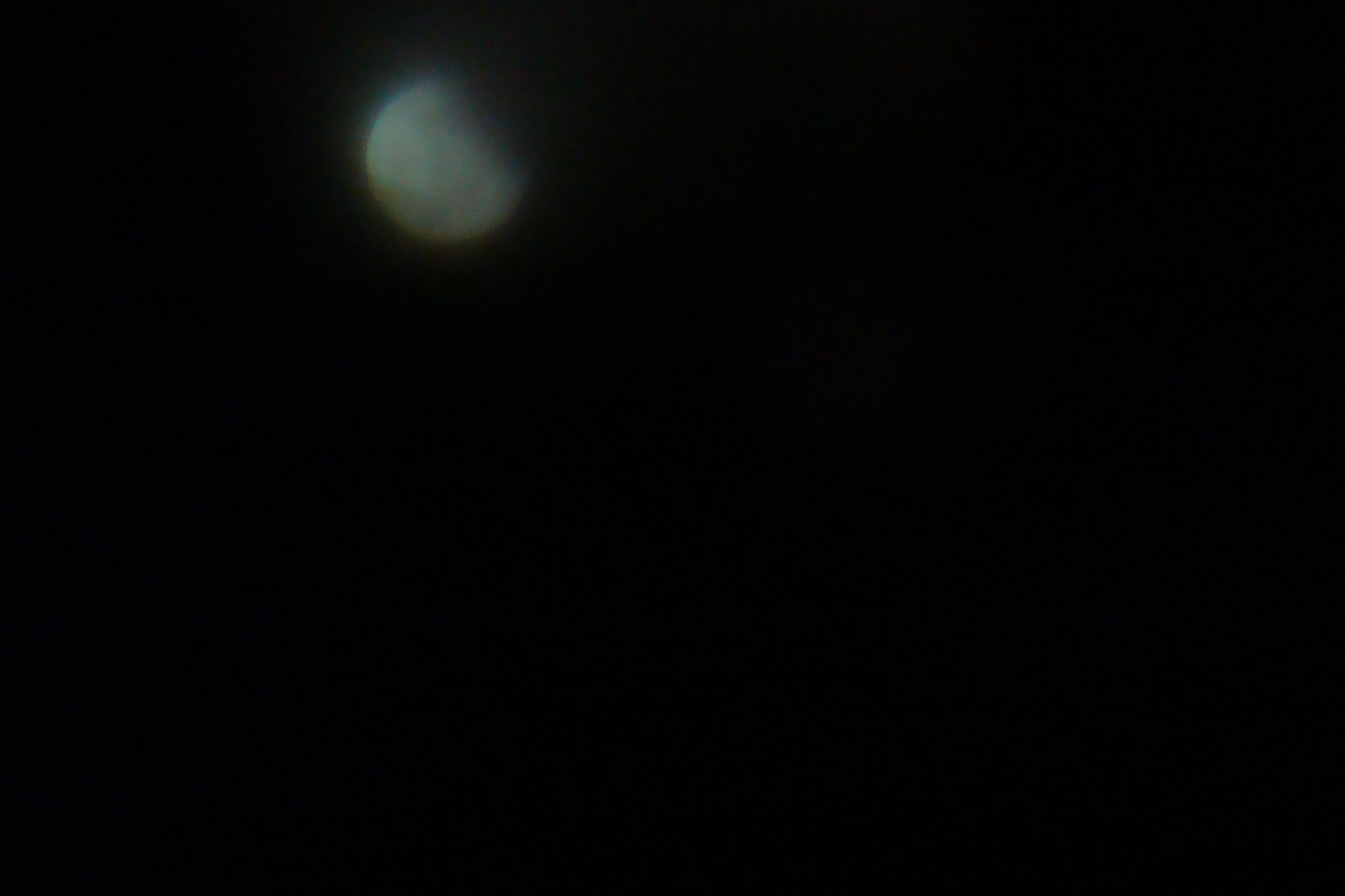 DSC02036.JPG