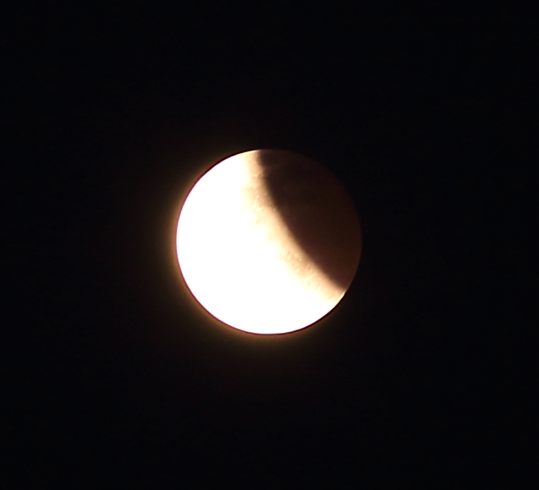 IMG_5572.JPG