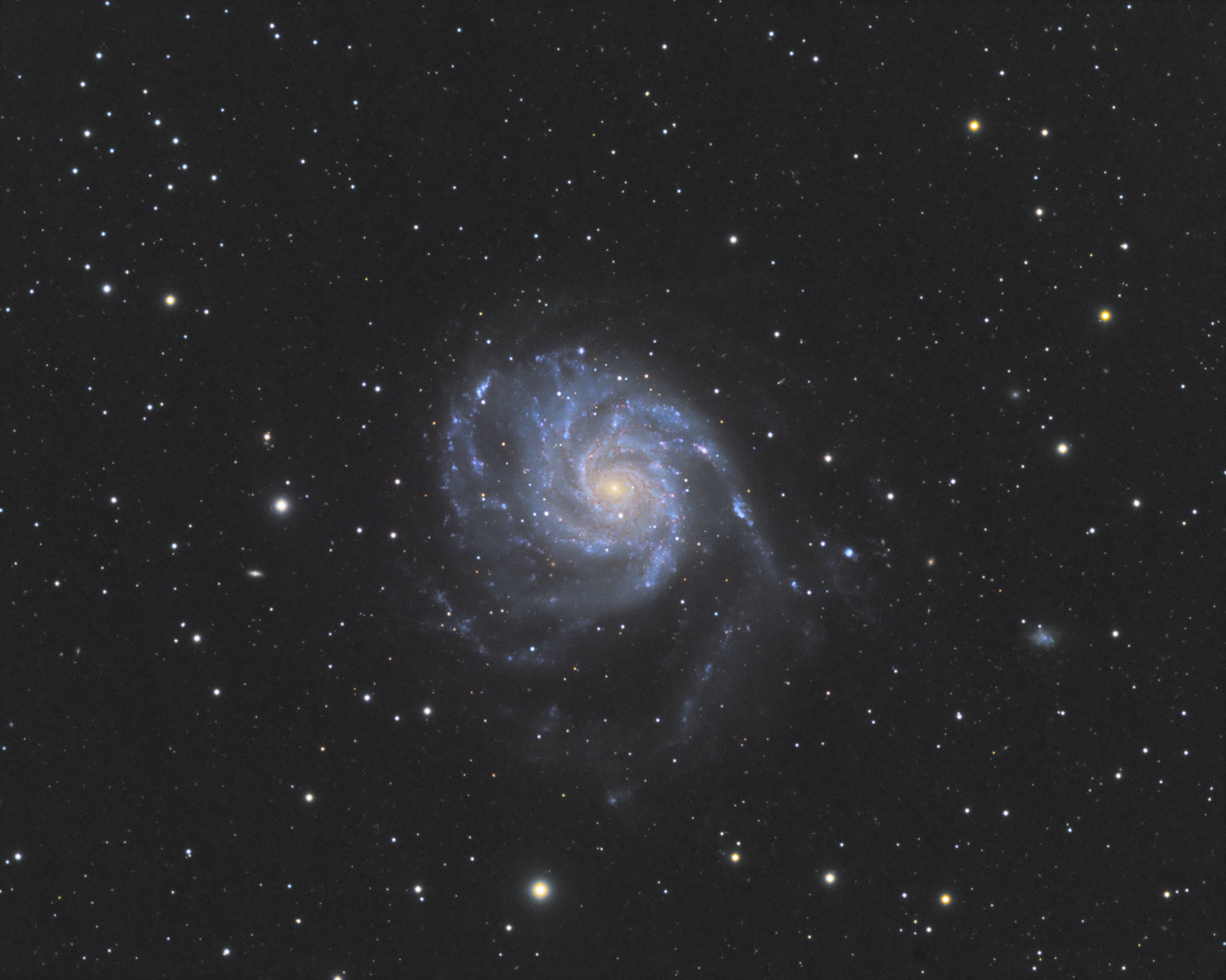 M101
