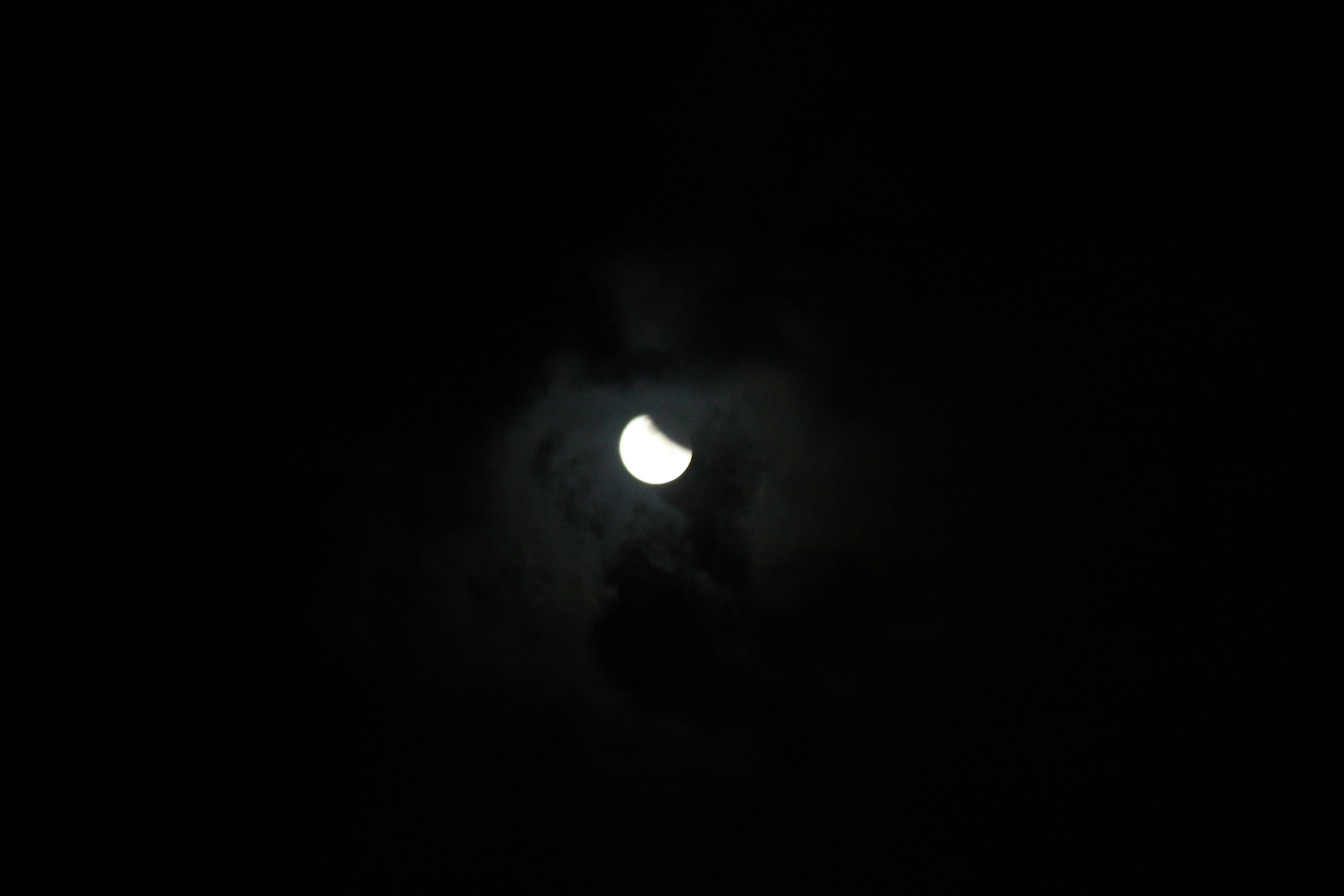 IMG_8598-d.jpg