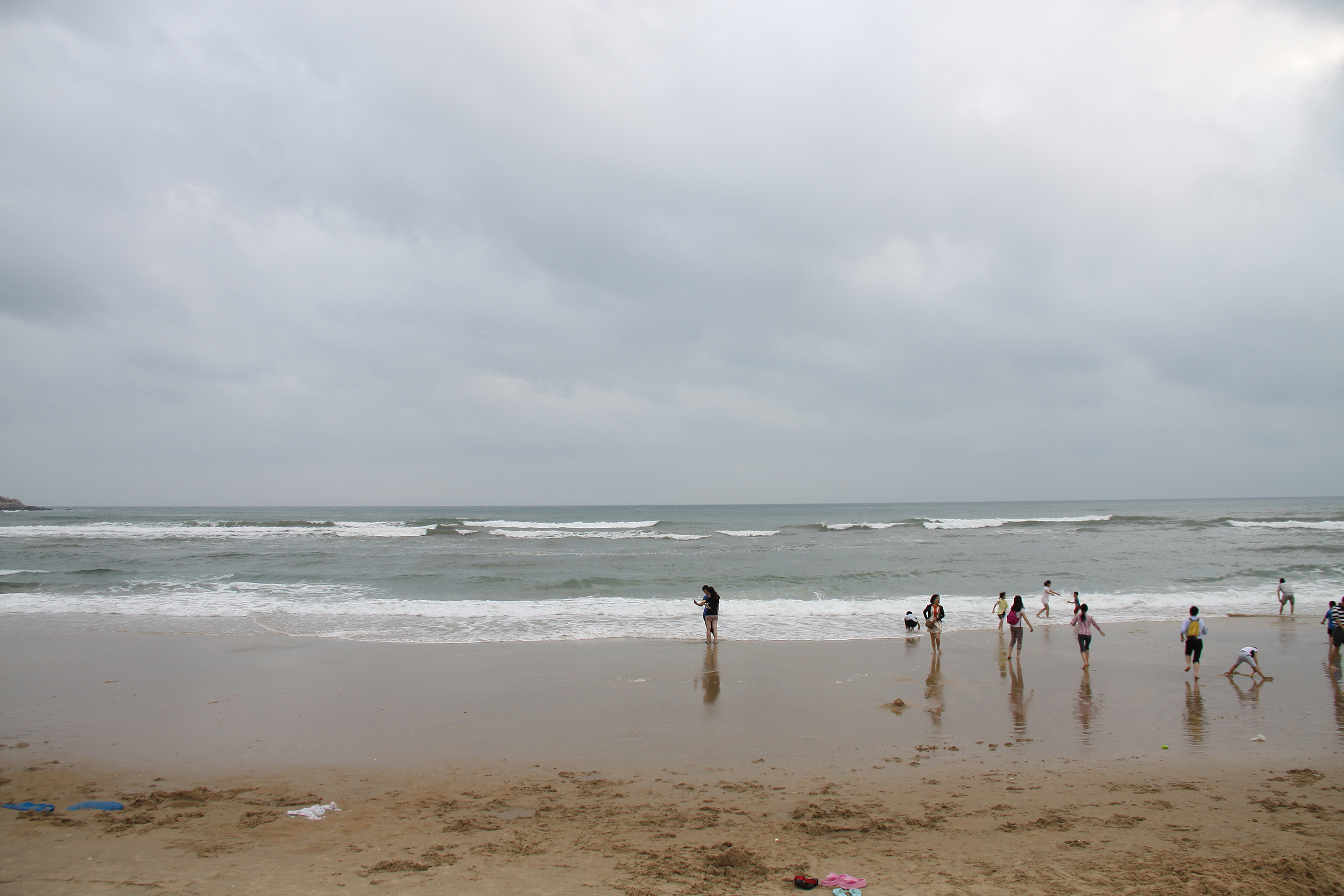 IMG_8551-d.jpg
