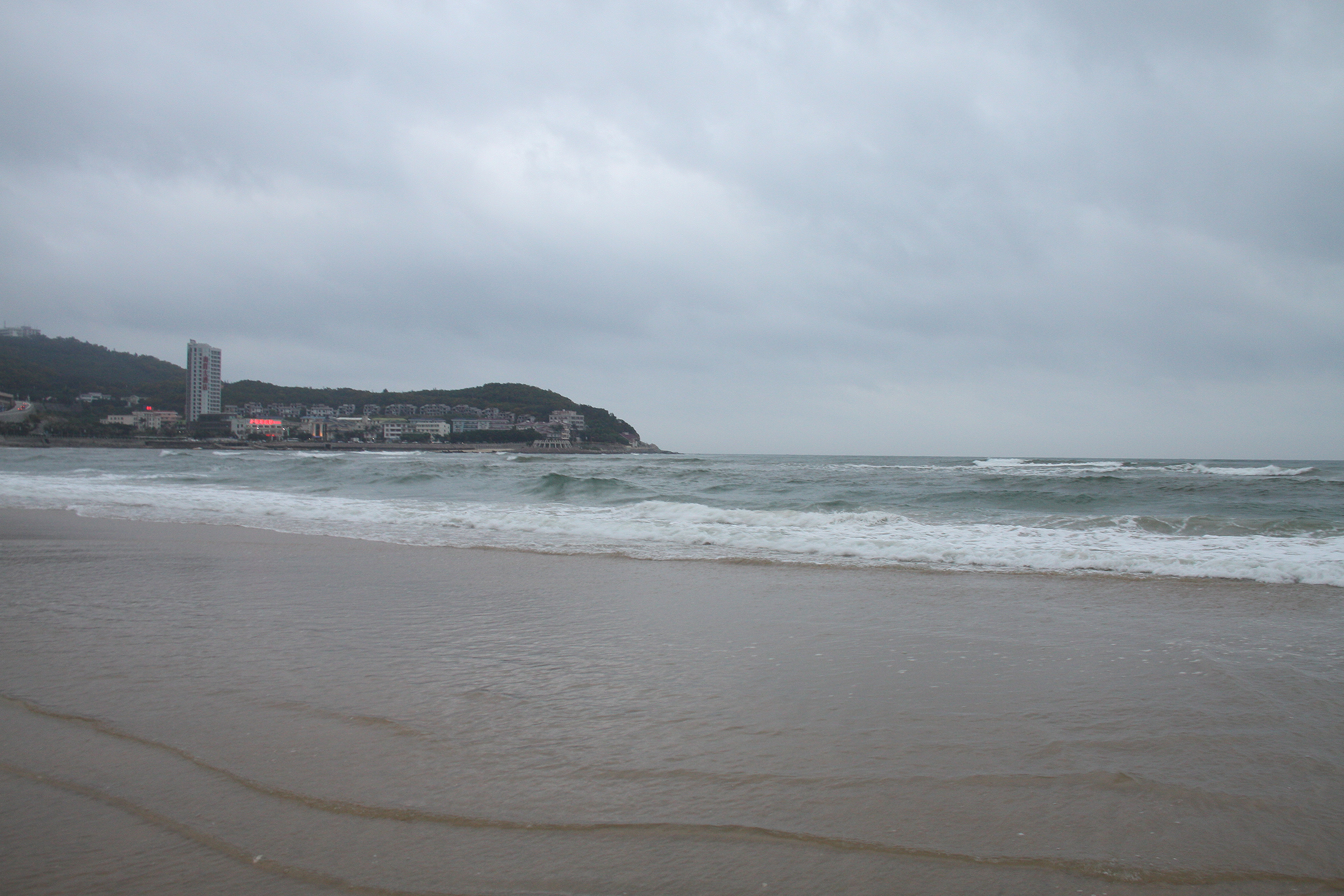 IMG_8587-d.jpg