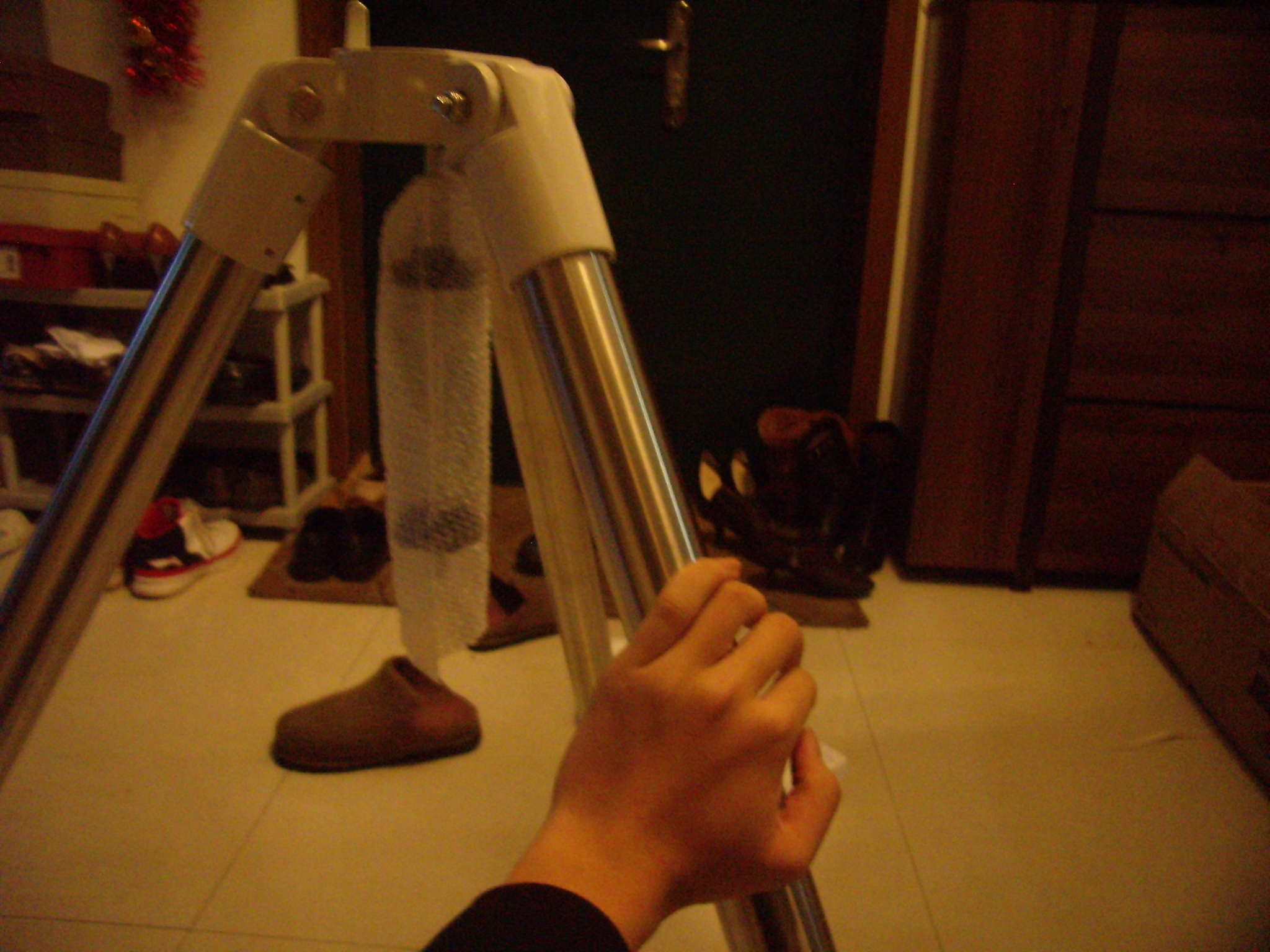 P1010004.JPG