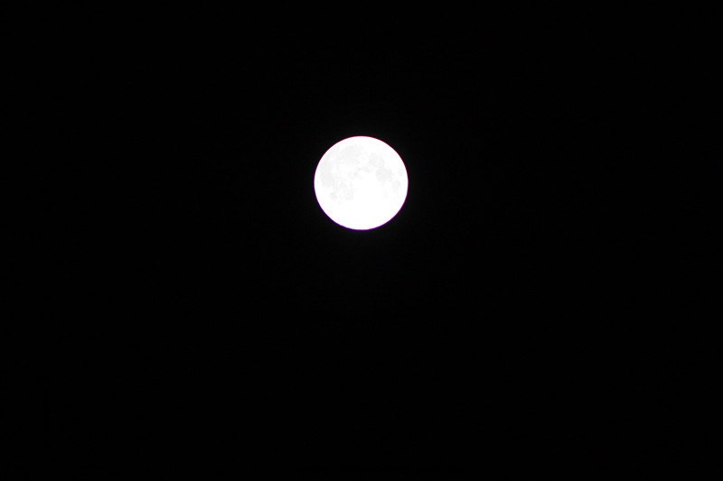 IMG_1810_副本.jpg