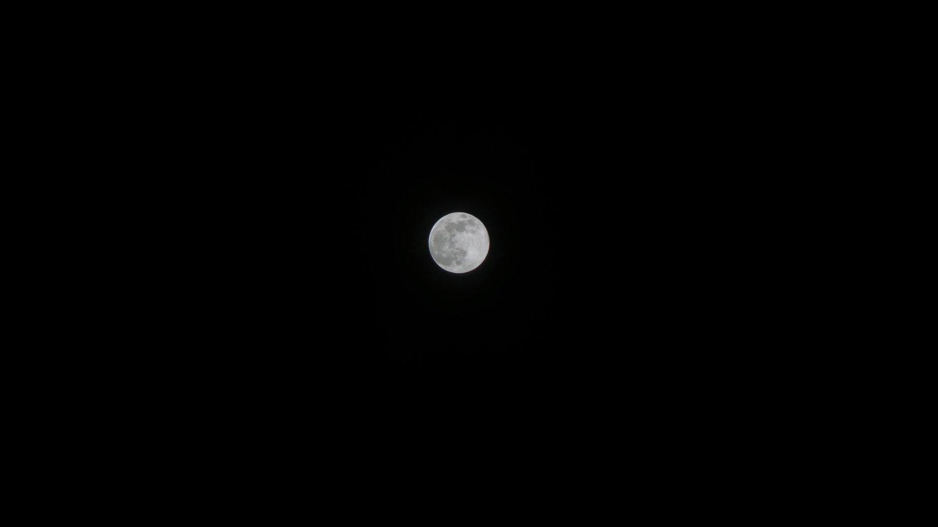 20140811_013115.jpg