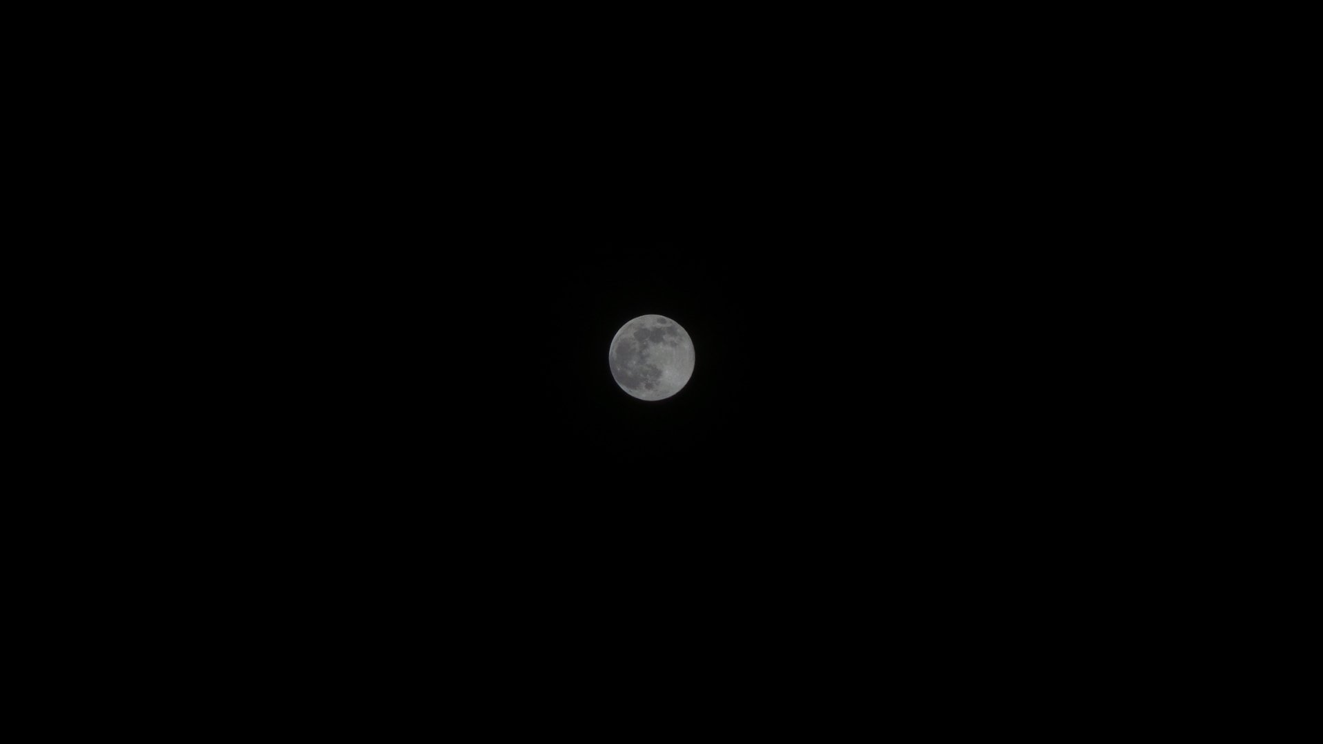 20140811_013159.jpg