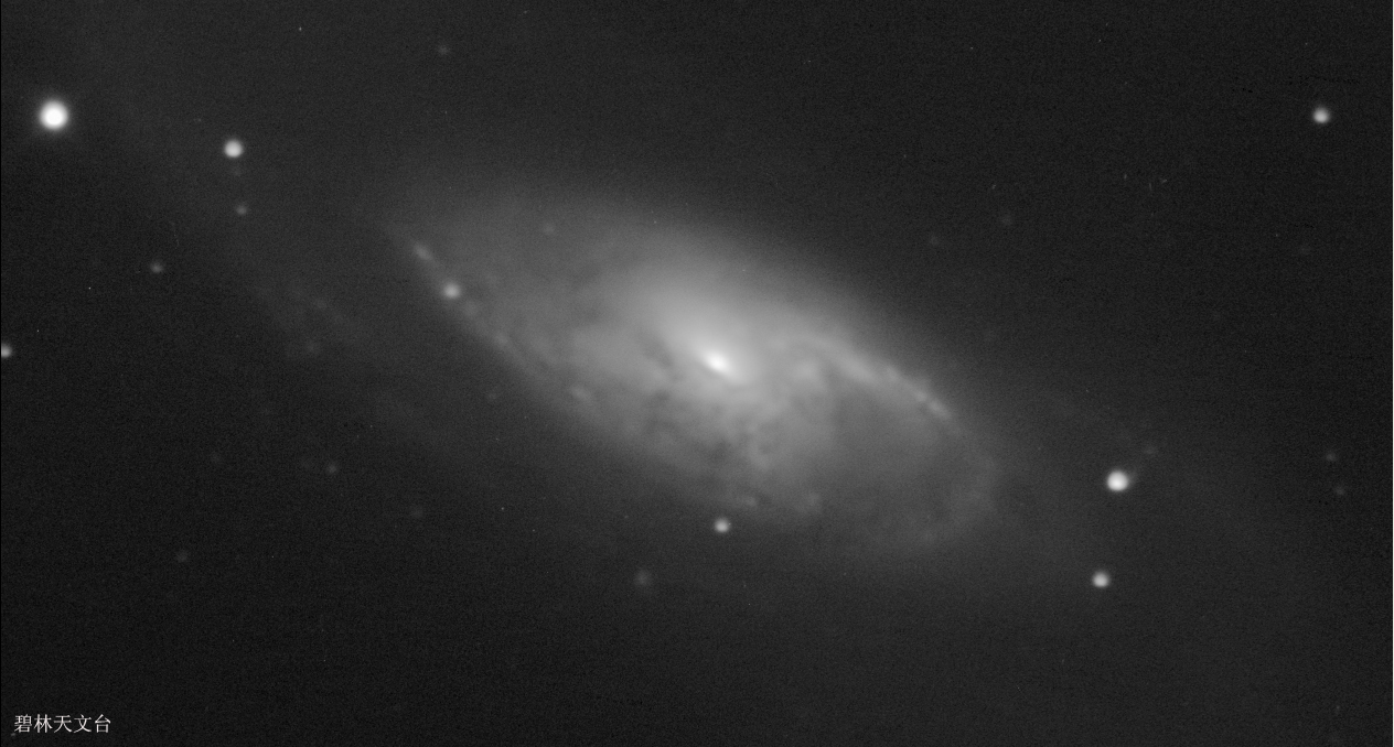M106-100%.jpg