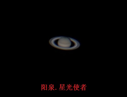 土豆2.jpg