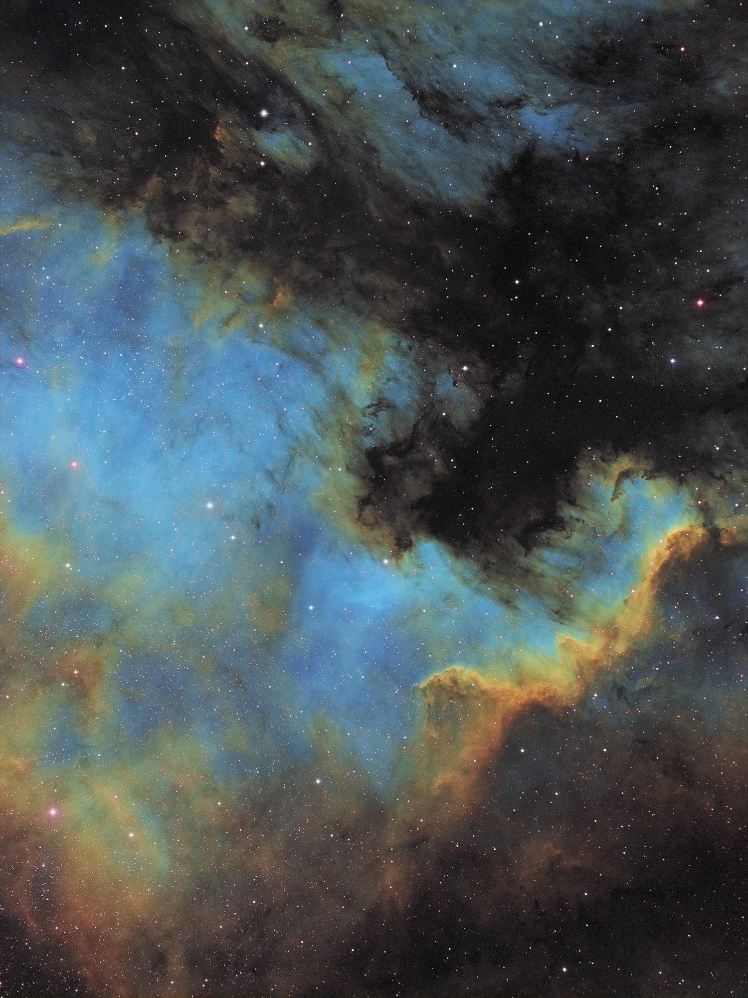 ngc7000b.jpg