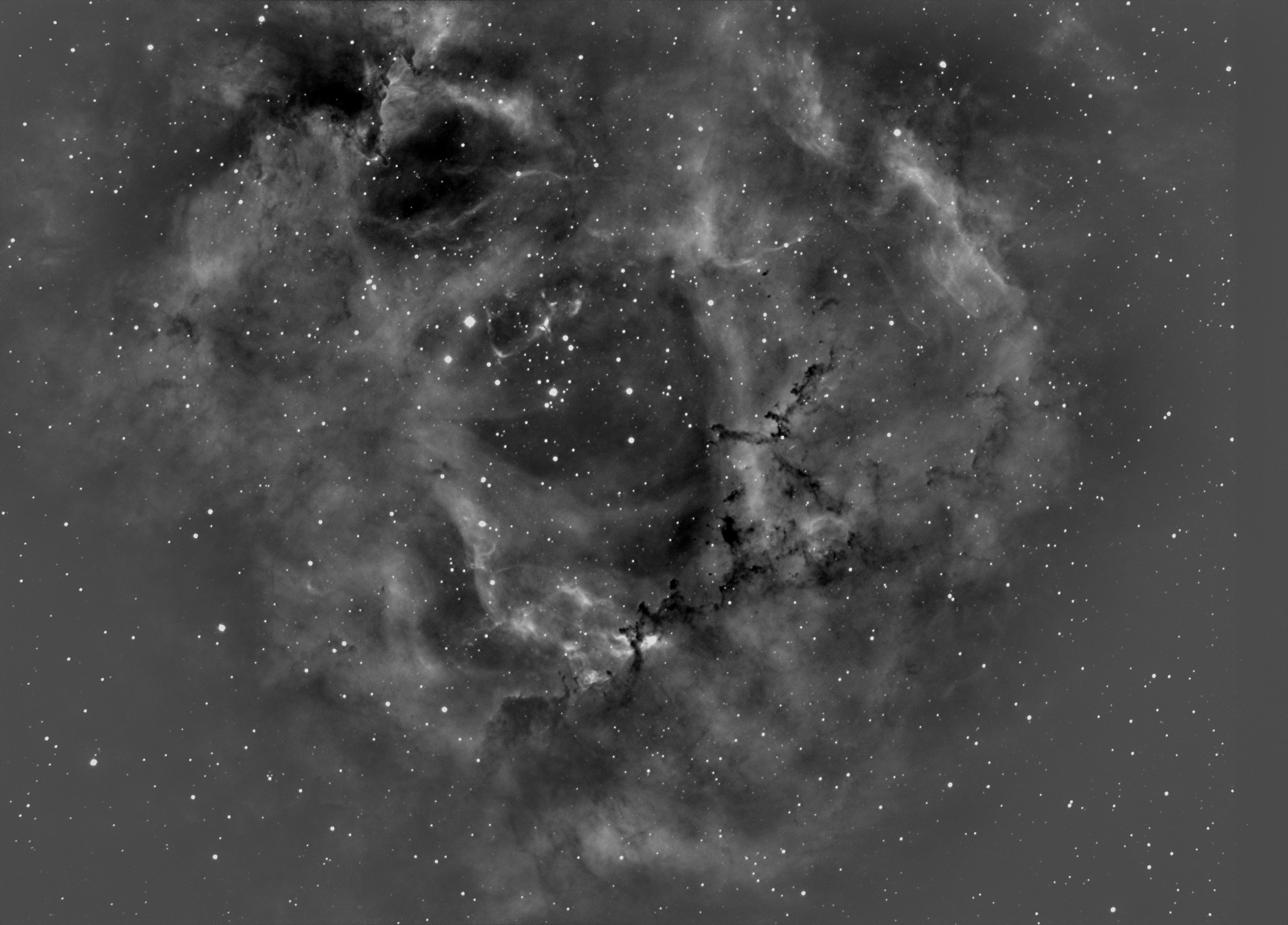 NGC2237 牧夫3.jpg
