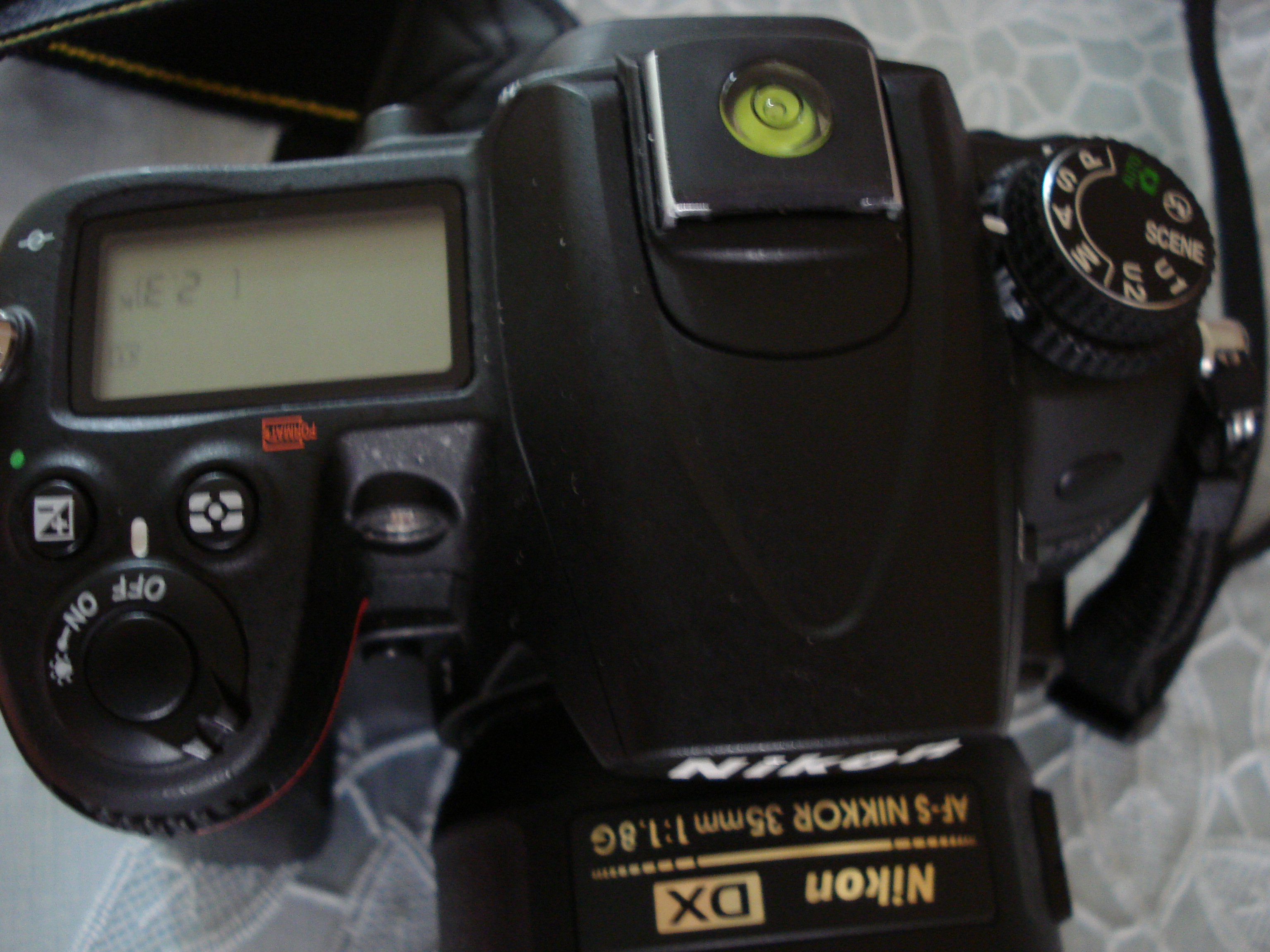 DSC08076.JPG