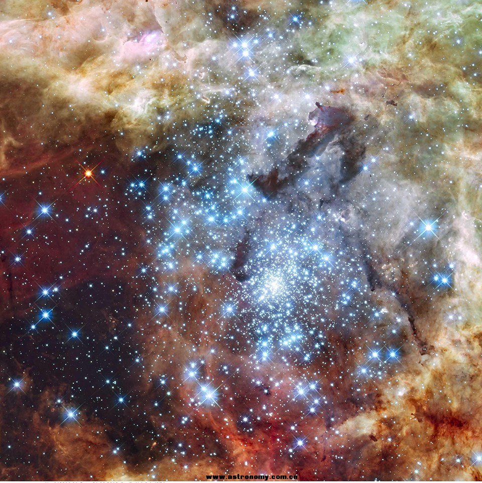 ANV7E52I00AO0001.jpg