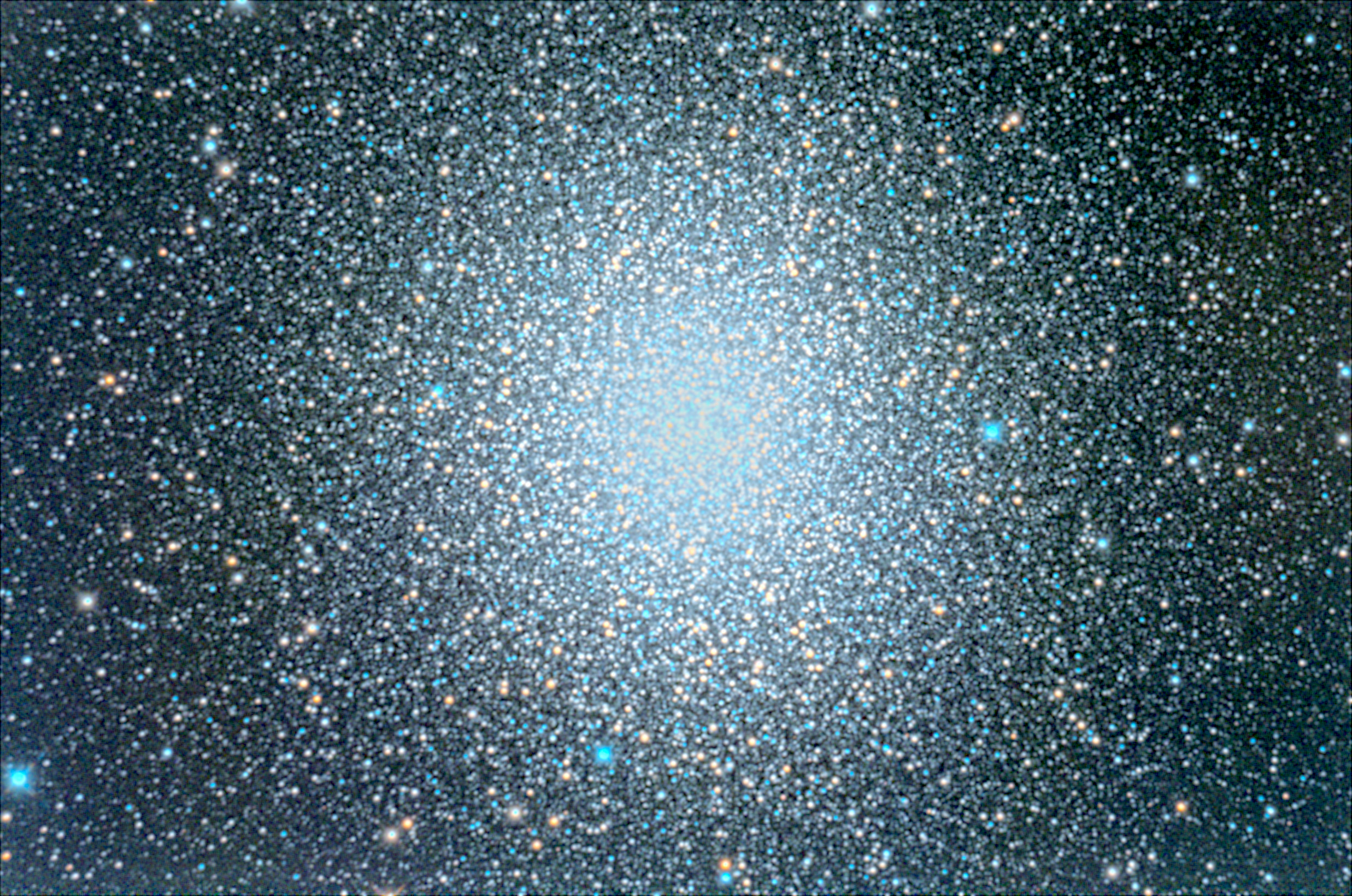 C80.jpg