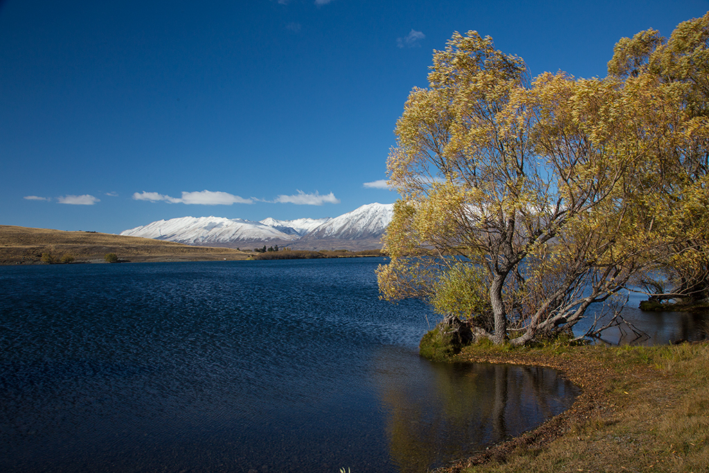 Tekapo_2.jpg