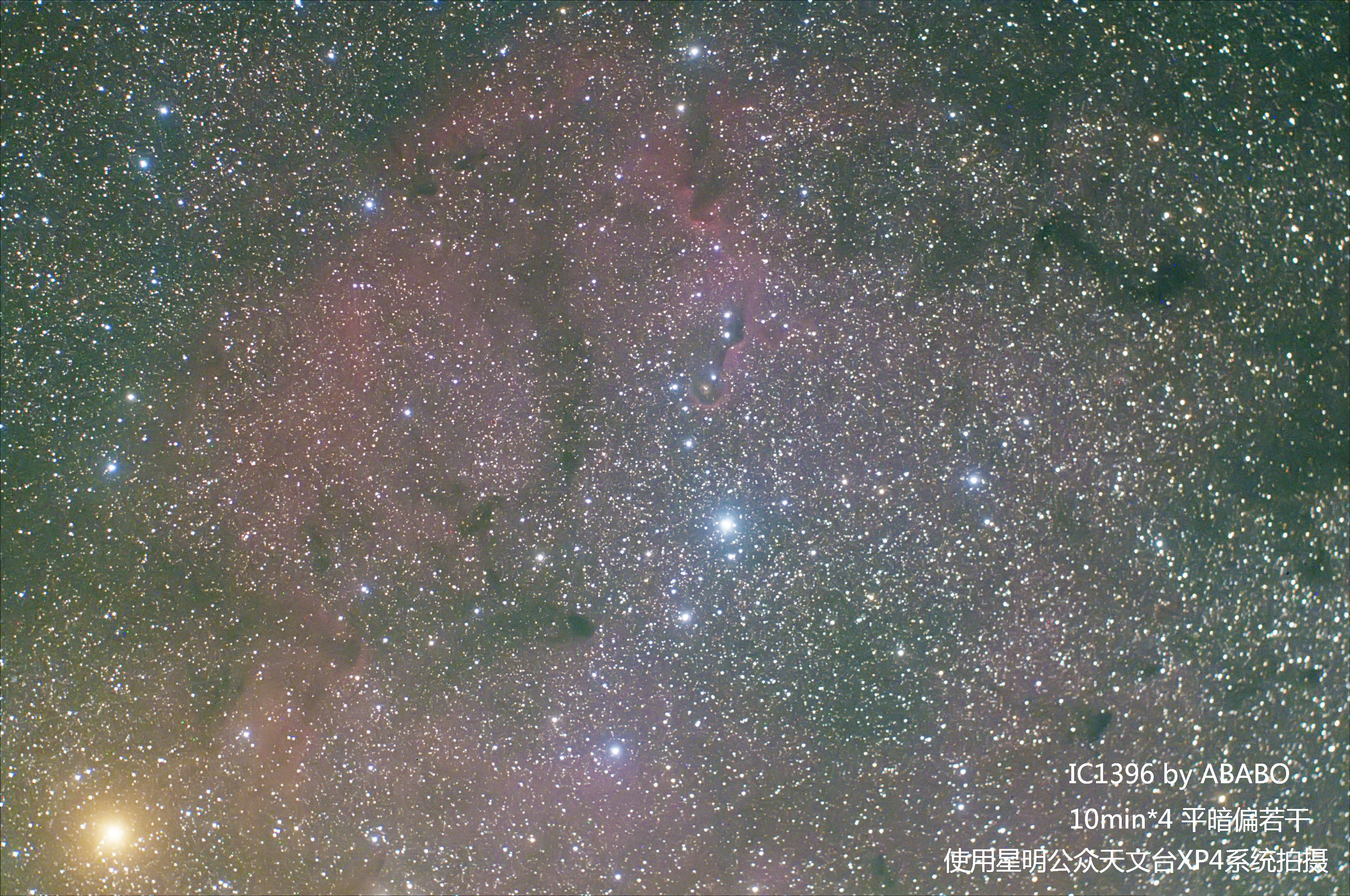 ic1396-DDP.jpg
