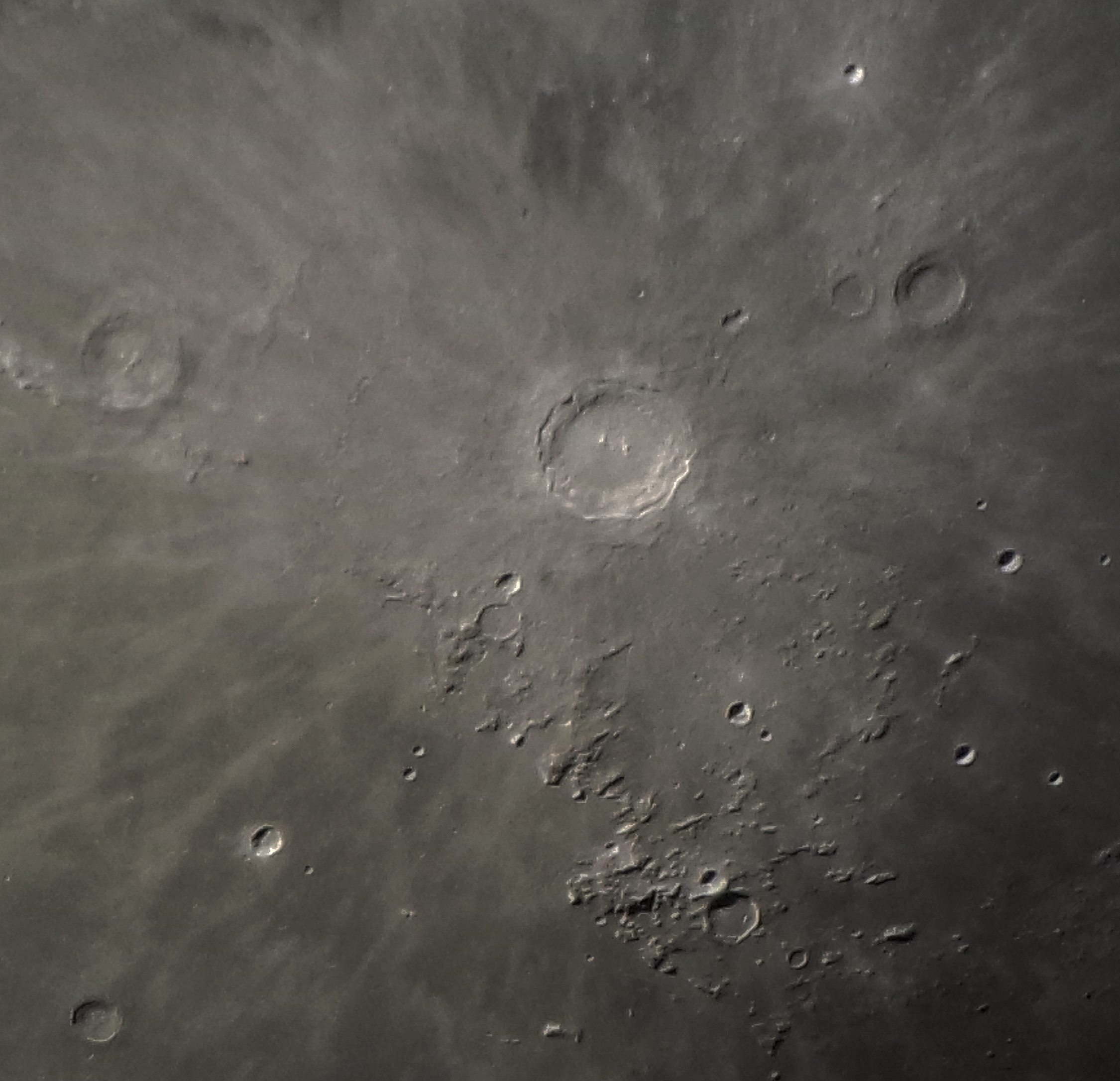 P50529-204644.jpg