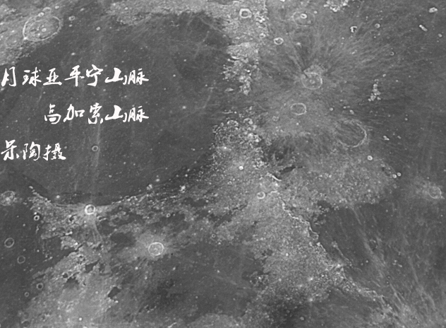 亚平宁高加索.jpg