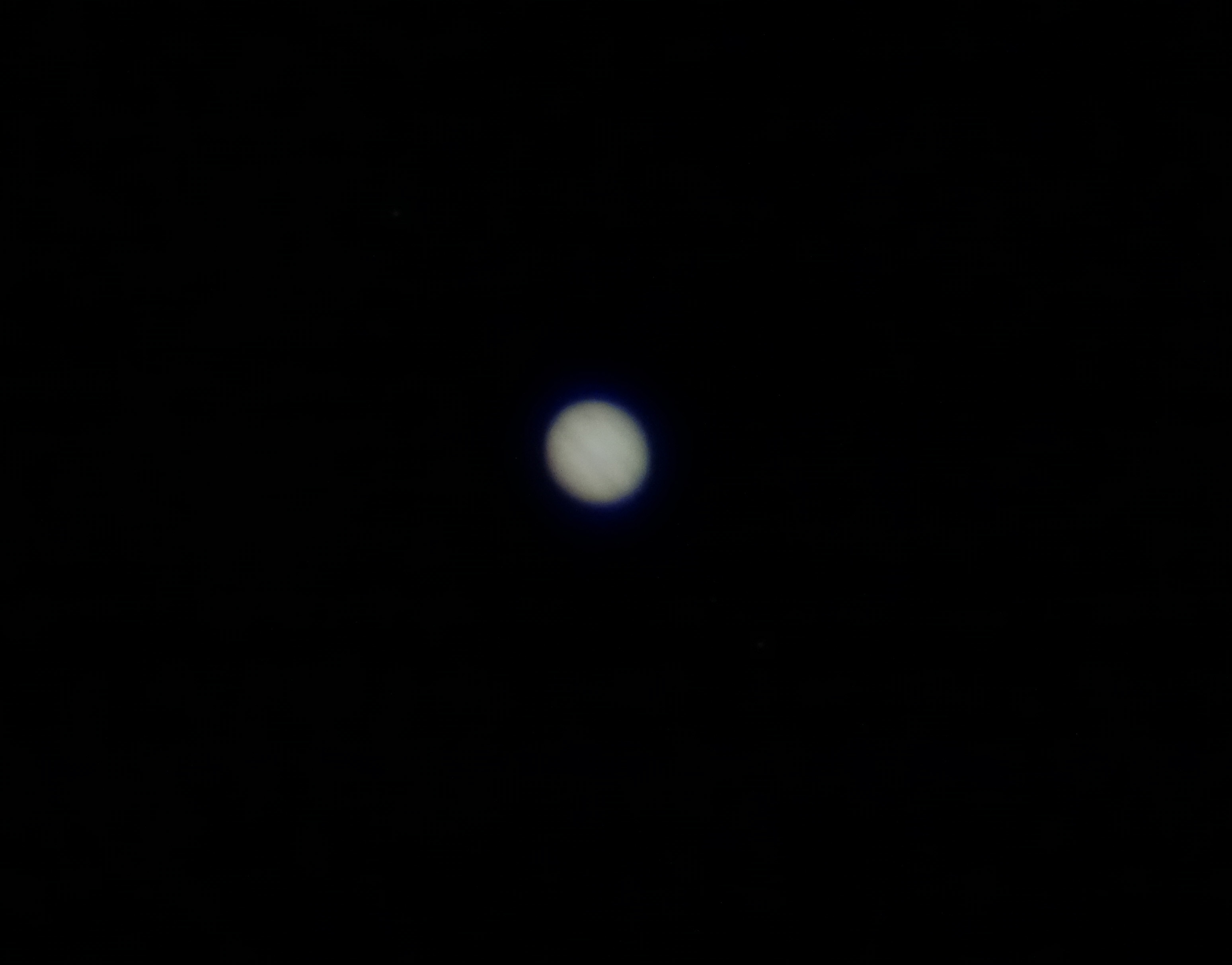DSC00868副本.jpg
