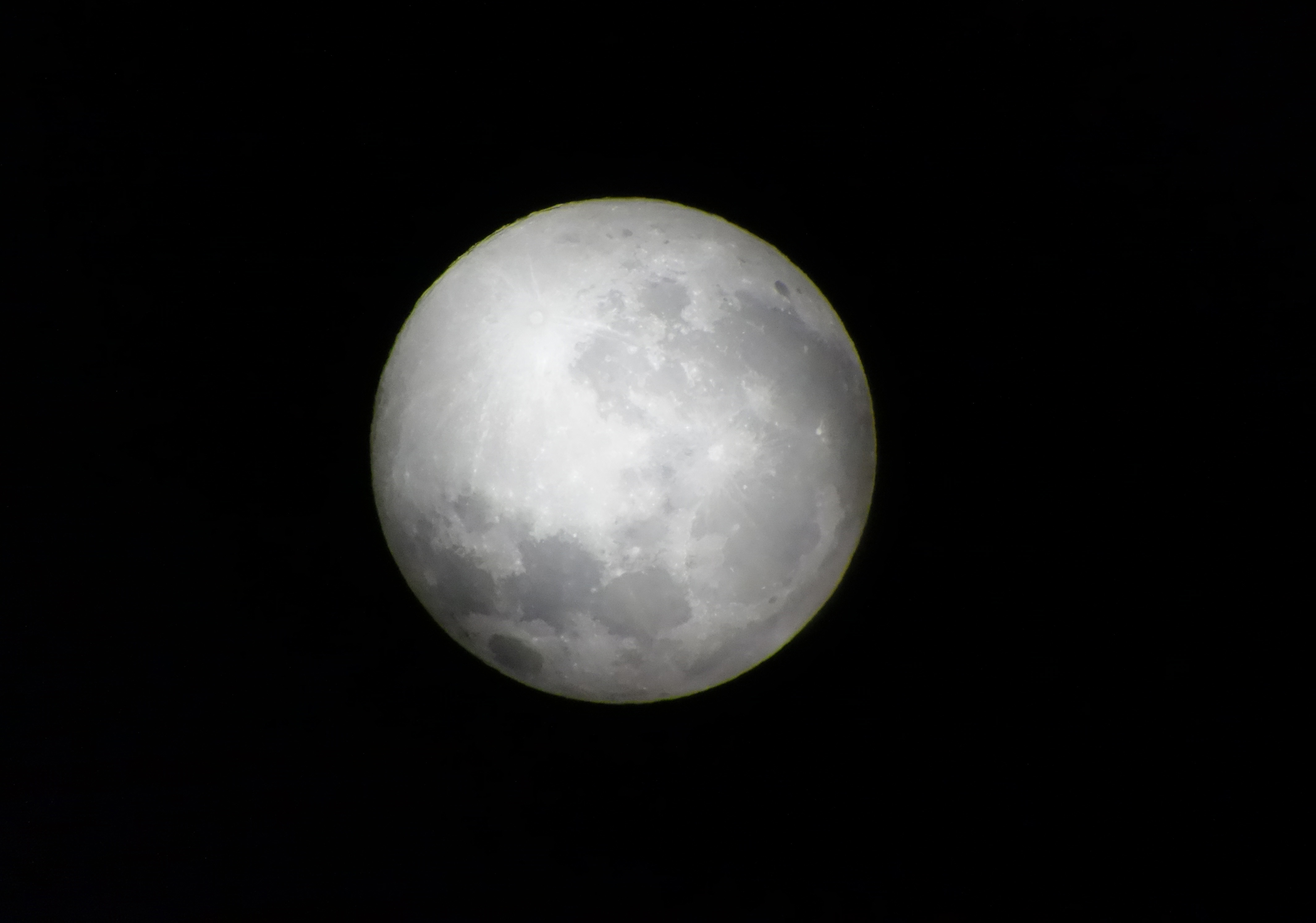 DSC00931副本.jpg