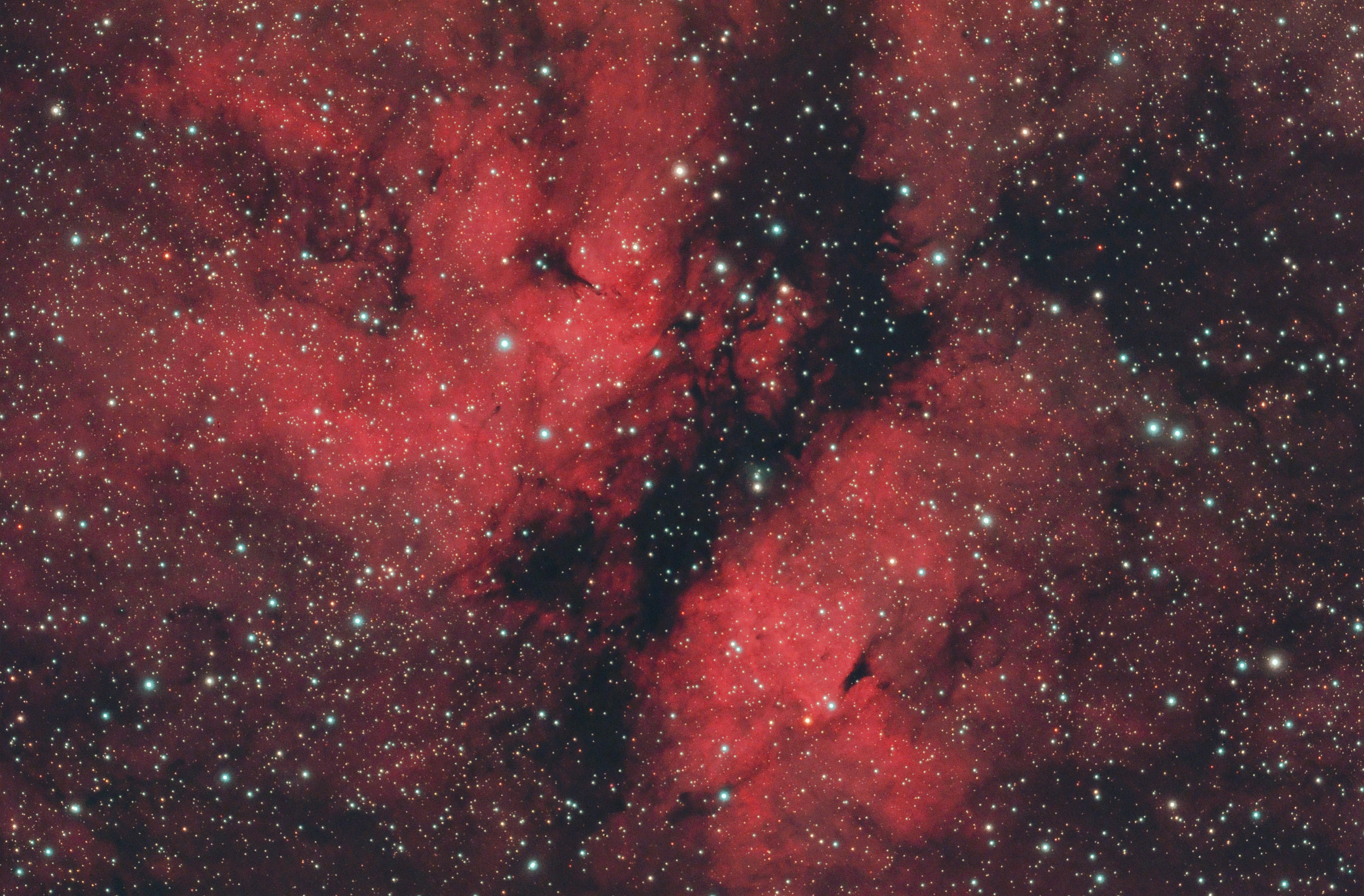IC1318star.jpg