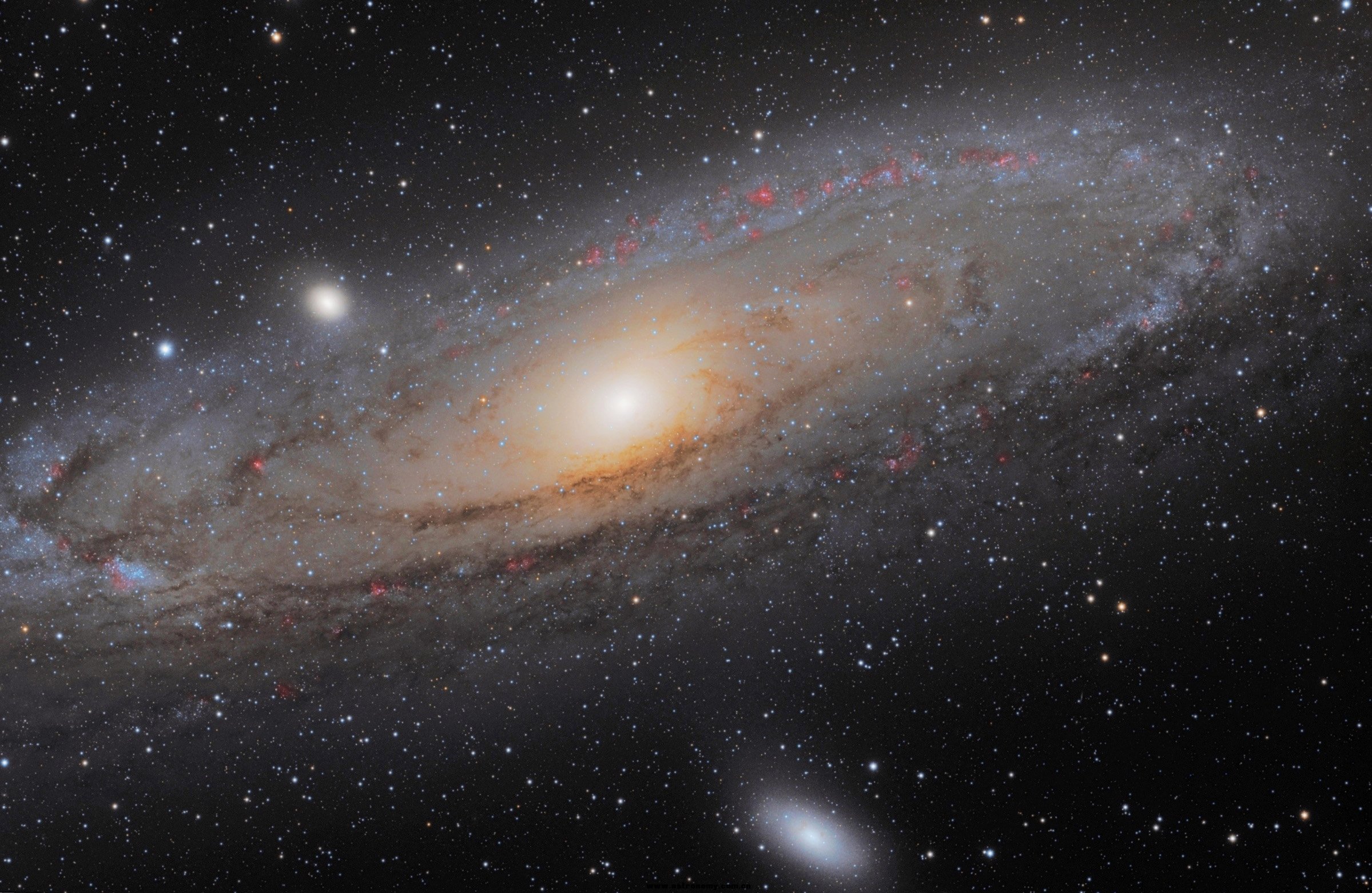 M31 LLRGB-PS-Wavelet-2400px-MT.jpg