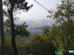 这是顶峰～～
