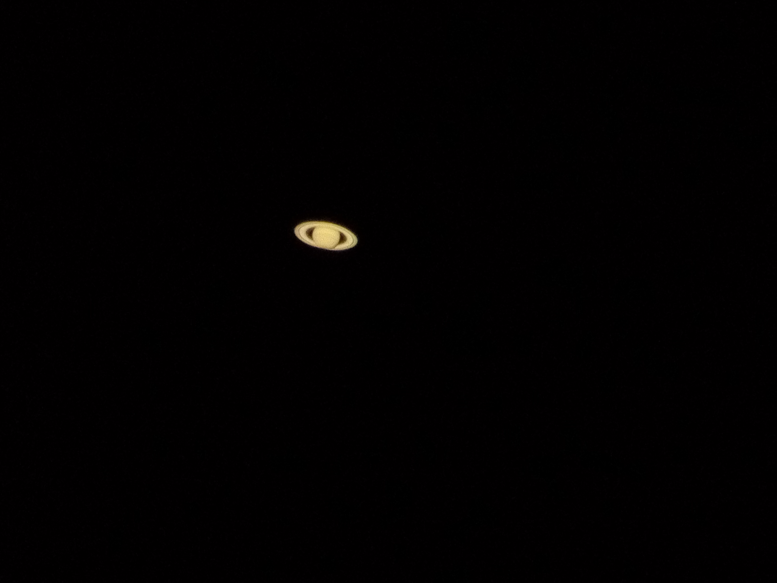 P50706-220914.jpg