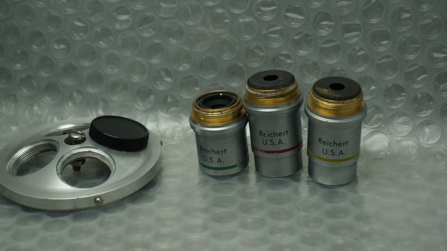 DSC09480.JPG