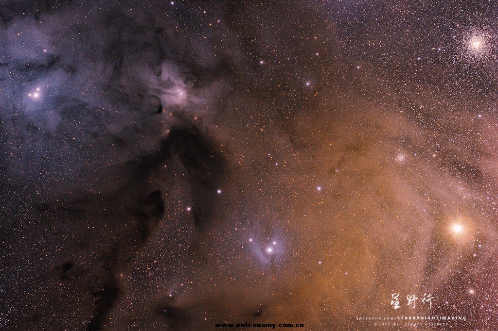 20150623_Mic_NZ_RHO_01r.jpg