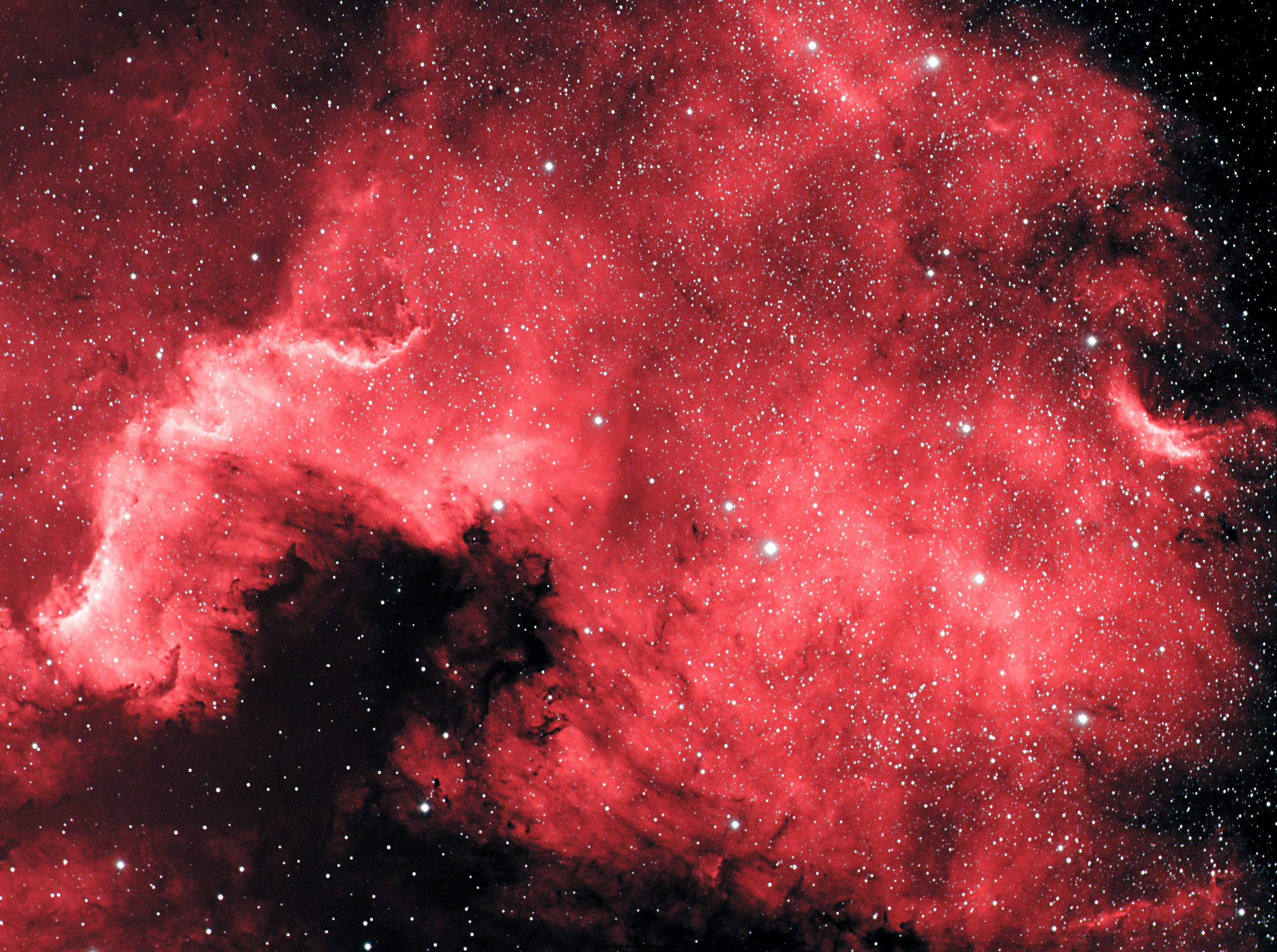 NGC7000-牧夫.jpg