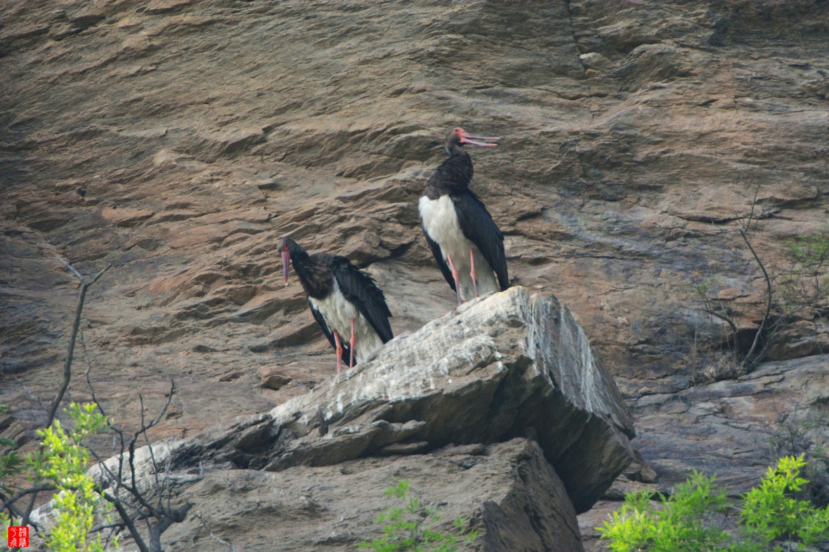 西班各庄2015-08-08 DSC_9224_副本.jpg