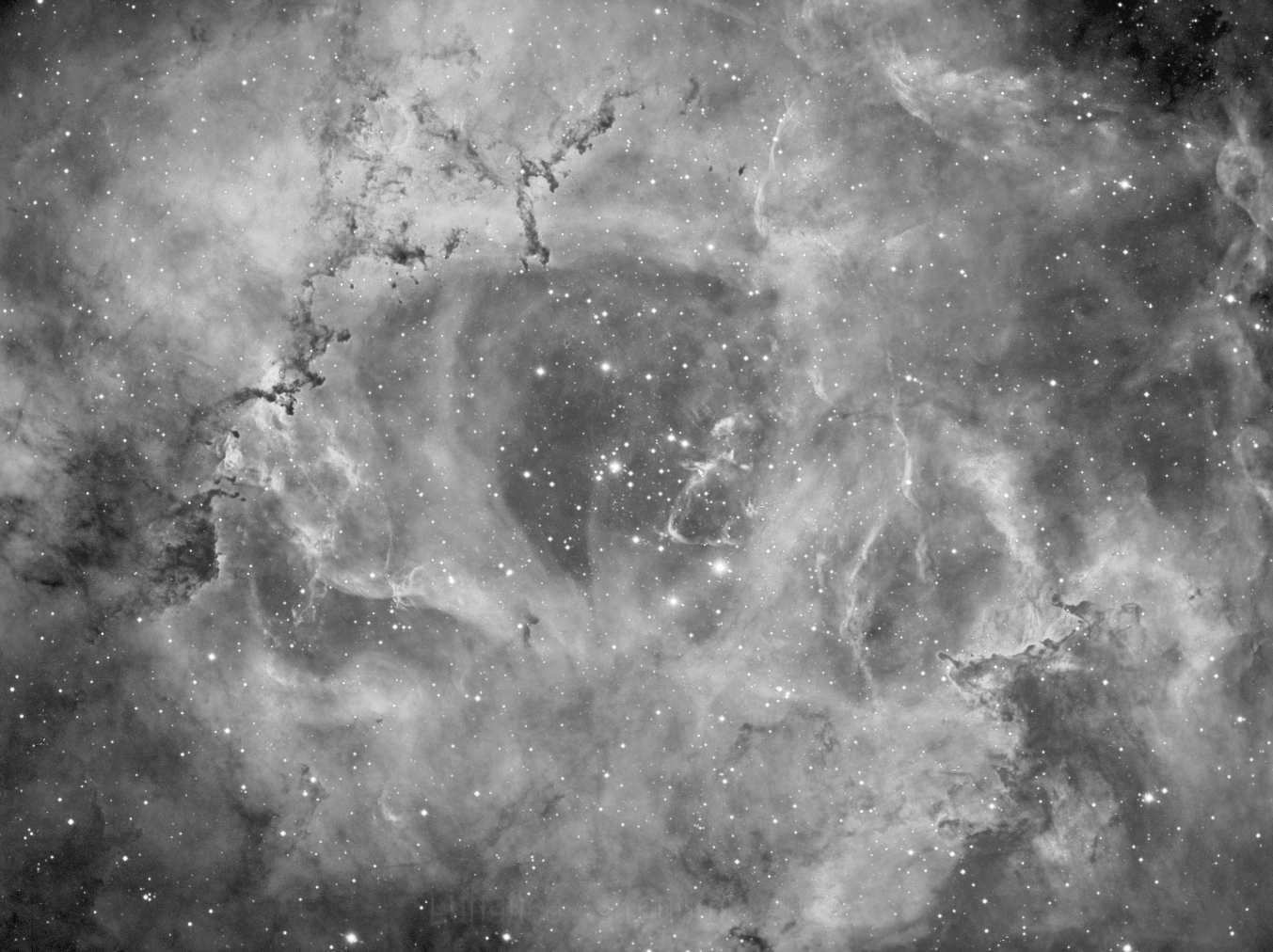 Rosette nebula.jpg