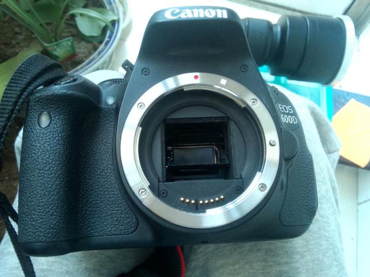 600D