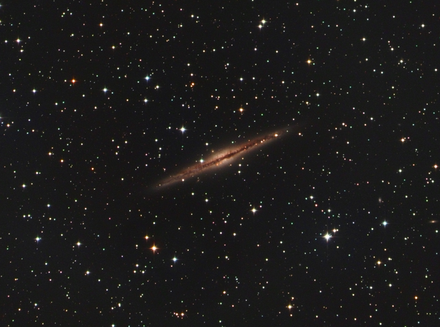 ngc891.jpg