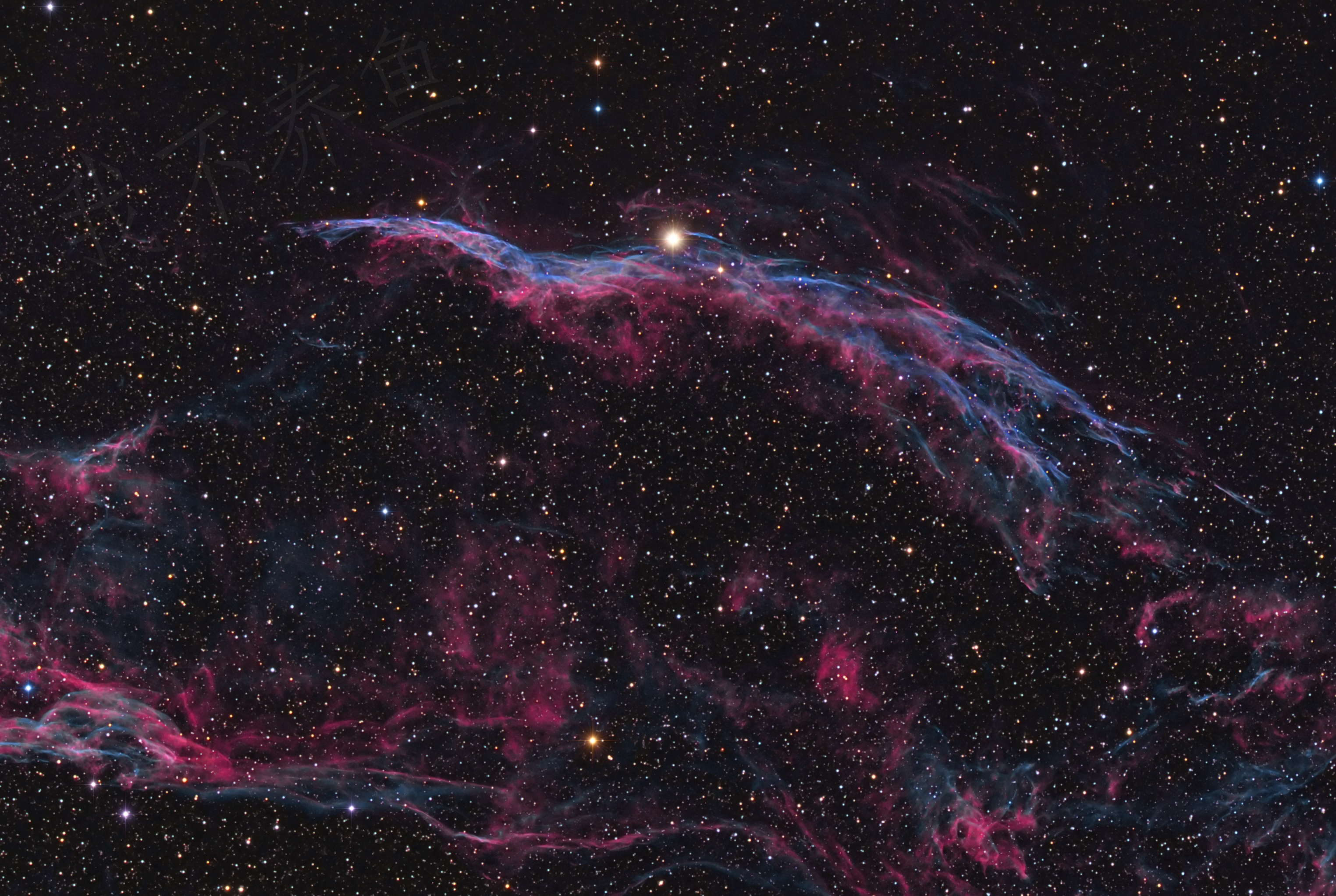 WESTveil-pi-1.jpg