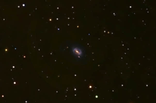 NGC6217放大.jpg