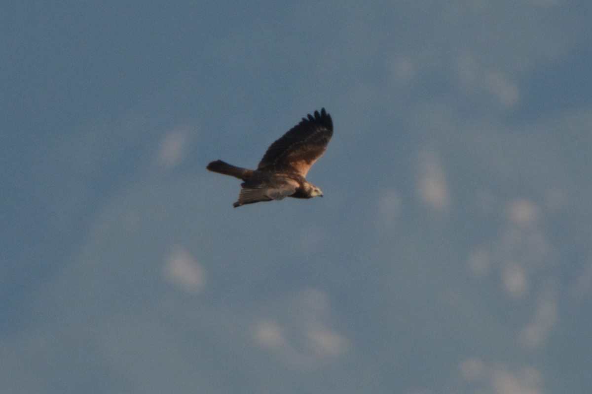 野鸭湖_20150913_DSC_0368_副本.jpg