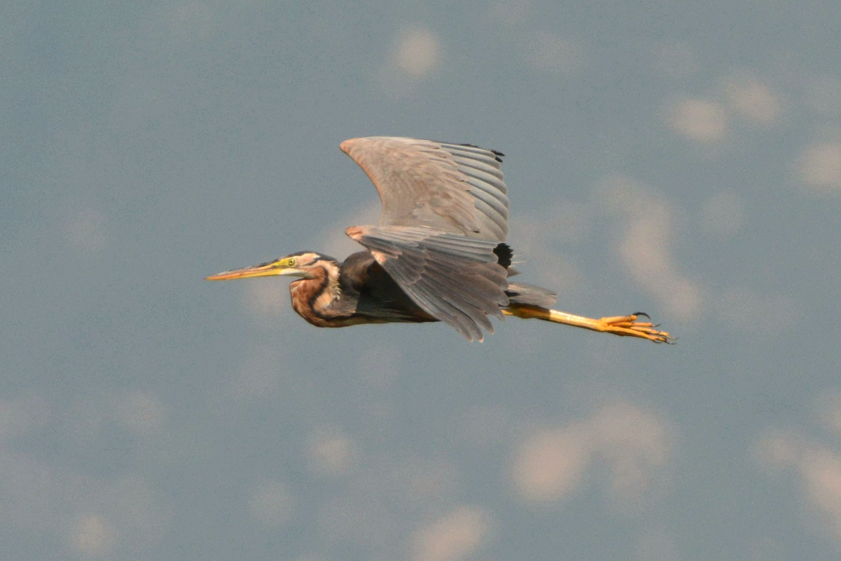 野鸭湖_20150913_DSC_0642_副本.jpg