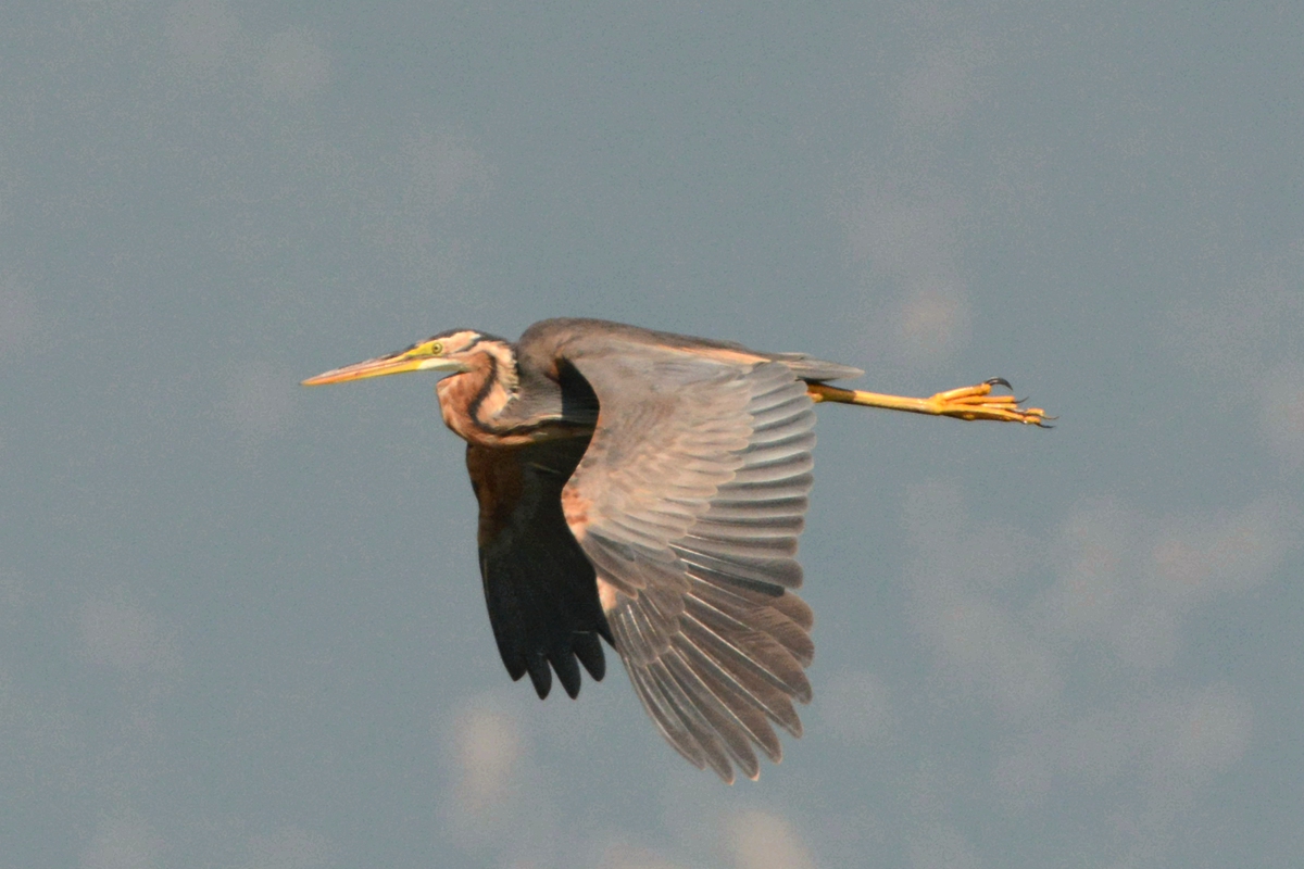 野鸭湖_20150913_DSC_0644_副本.jpg