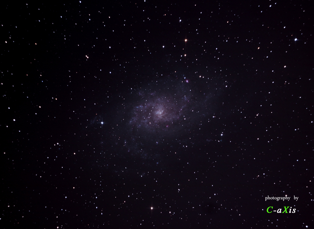 M331024.jpg